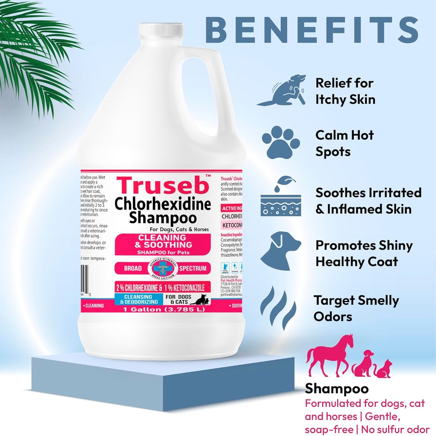 Truseb Topical Ketoconazole and Chlorhexidine Shampoo for Dogs, Cats & Horses Pleasantly Scented with a Cucumber Melon Scent with Aloe (Ketoconazole & Chlorhexidine Shampoo, 1 Gallon)