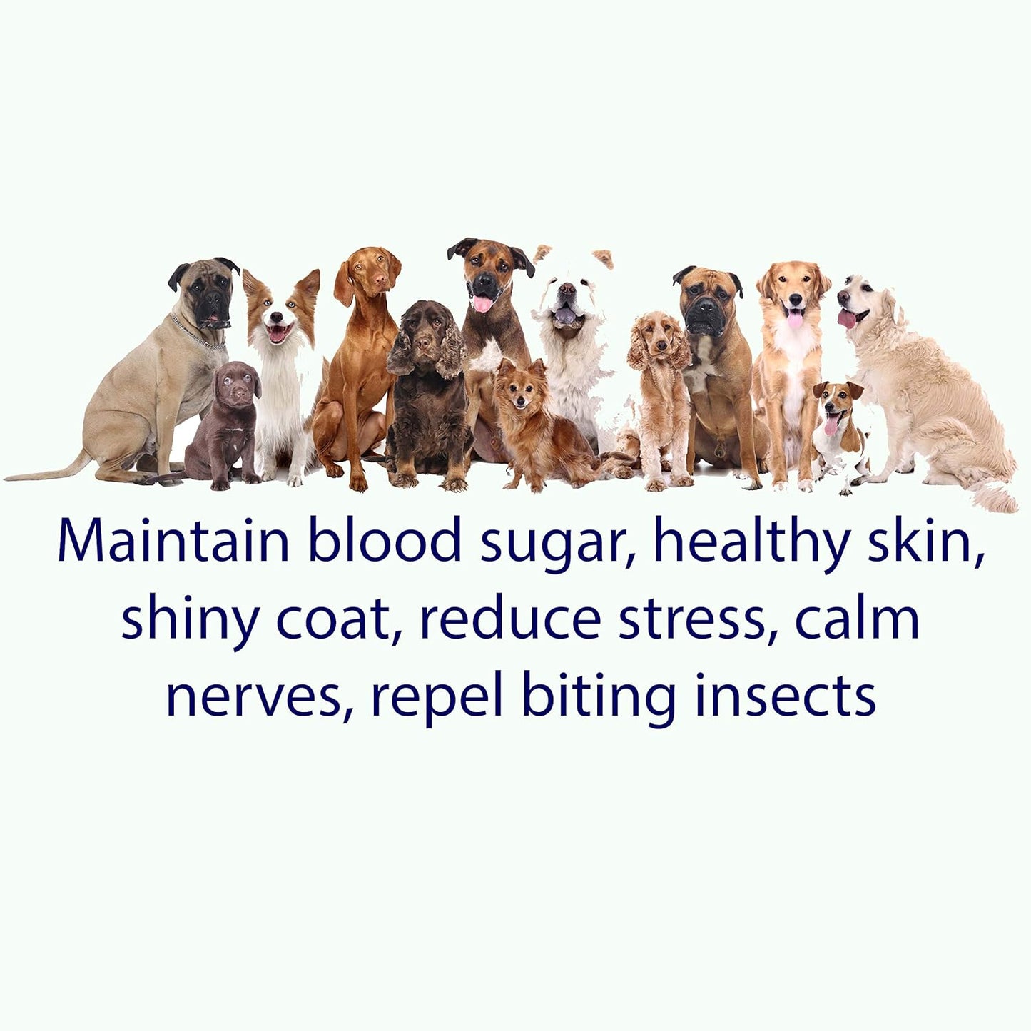 | Brewers Yeast | Animal and Pet | Young and Adult | Granular | 4 Pounds