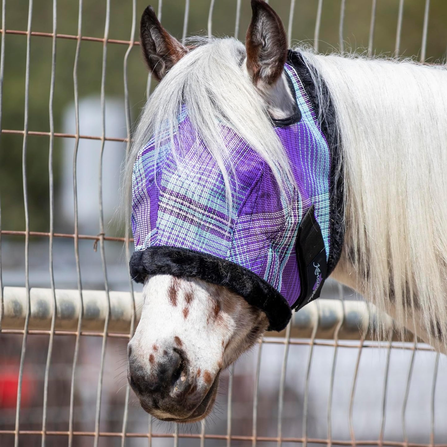 Kensington Fly Mask with Fleece Trim for Horses — Protects Face and Eyes from Flies and Sun Rays While Allowing Full Visibility — Breathable and Non Heat Transferring, Medium, Lavender Mint
