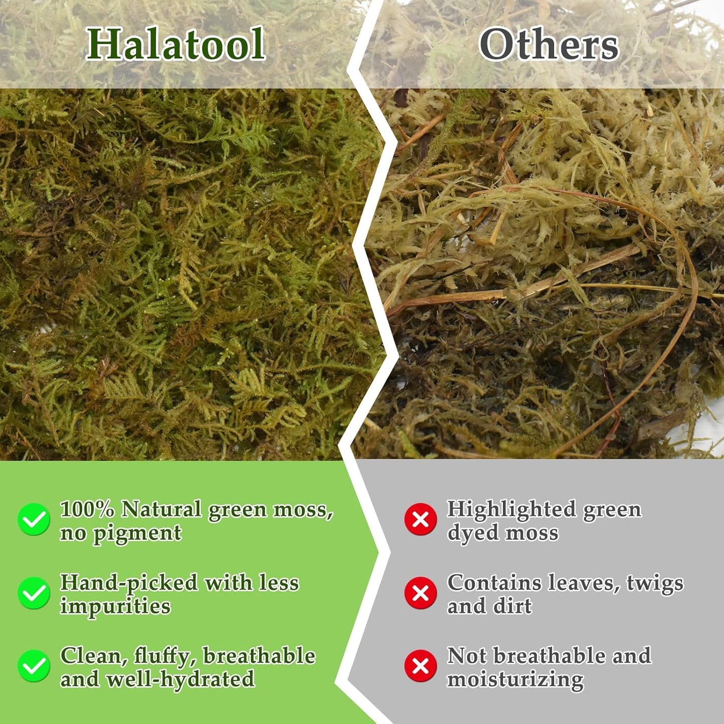 Halatool 1.5LB Natural Sphagnum Moss for Reptiles- 80QT Green Live Moss for Terrarium Plants Long Fiber Reptile Moss for Leopard Gecko Snake Hamsters Tortoises Frogs Lizards Salamanders