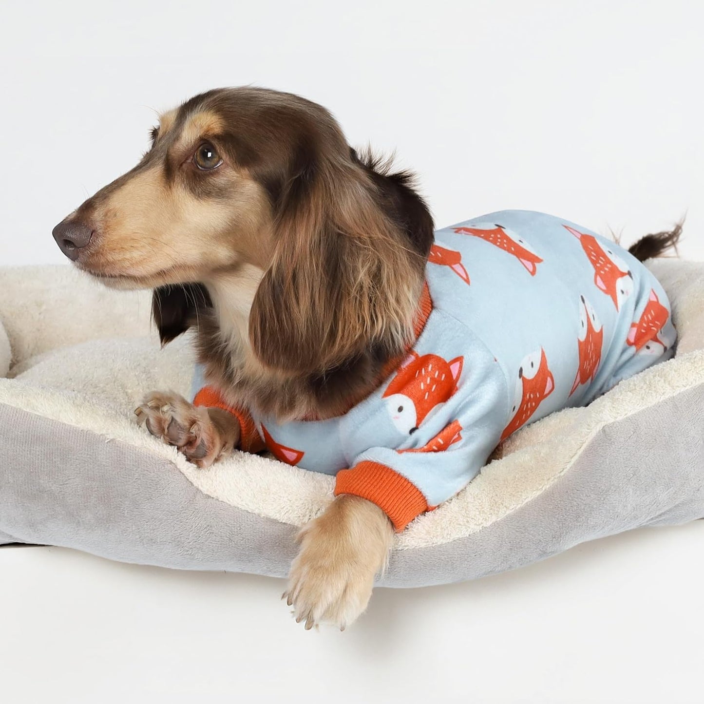 Fitwarm Funny Fox Dog Pajamas, Warm Dog Onesie, Dog Clothes for Small Dogs Girl Boy, Lightweight Velvet, Pet Outfit, Gray, Orange, Large