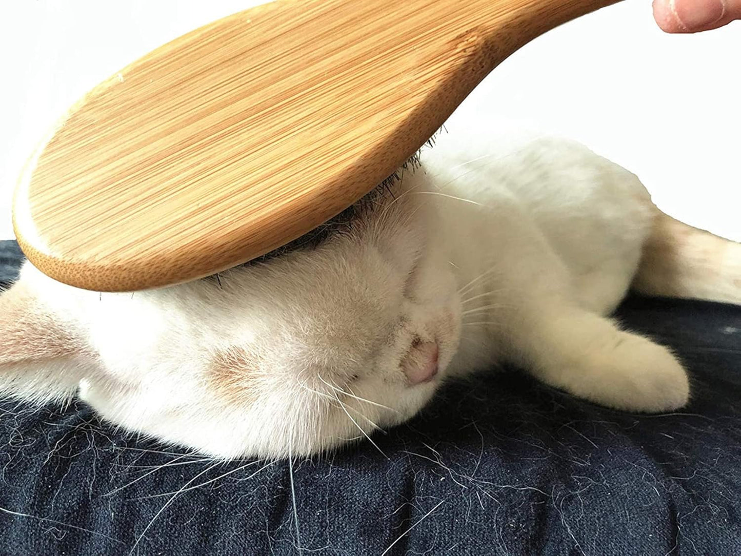 Patina Dog Cat Brush for Shedding, Natural Bamboo Boar Bristles Brush, Pet Grooming Supplies for Short and Long Haired Dogs Cats, Gentle Easy Grooming Massage, Japanese design