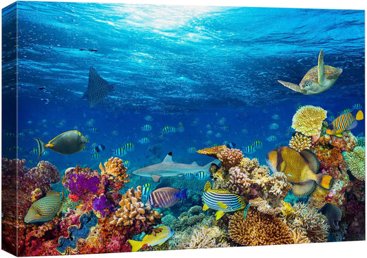 wall26 Canvas Print Wall Art Vibrant Sunshine Ray Coral Reef Turtle Fish Nature Animals Photography Realism Rustic Scenic Landscape Wilderness Colorful for Living Room, Bedroom, Office - 32"x48"