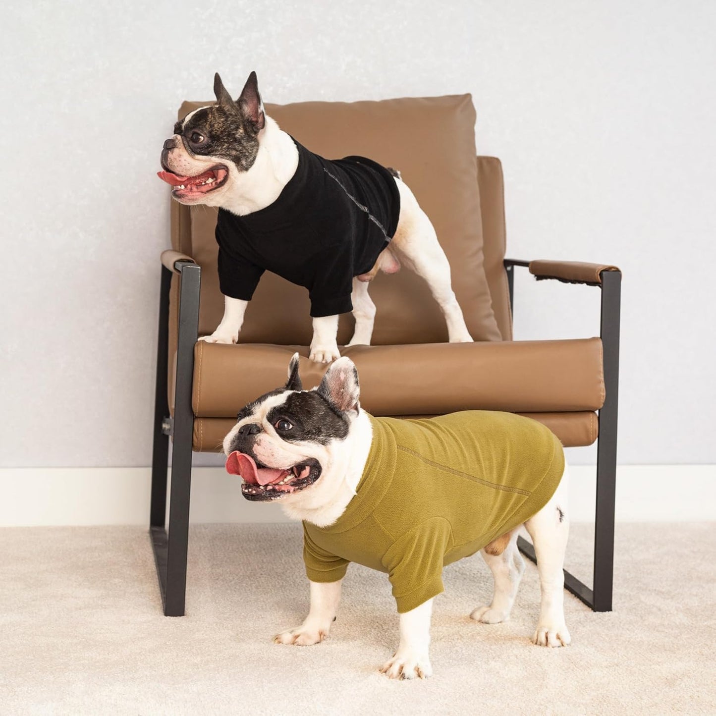 Fitwarm 3 Pack Classic Fleece Dog Sweater, Winter Clothes for Small Dogs Boy Girl, Turtleneck Dog Sweatshirt, Pet Pullover Jumper, Cat Apparel, Black, Olive Green, Cream, XL