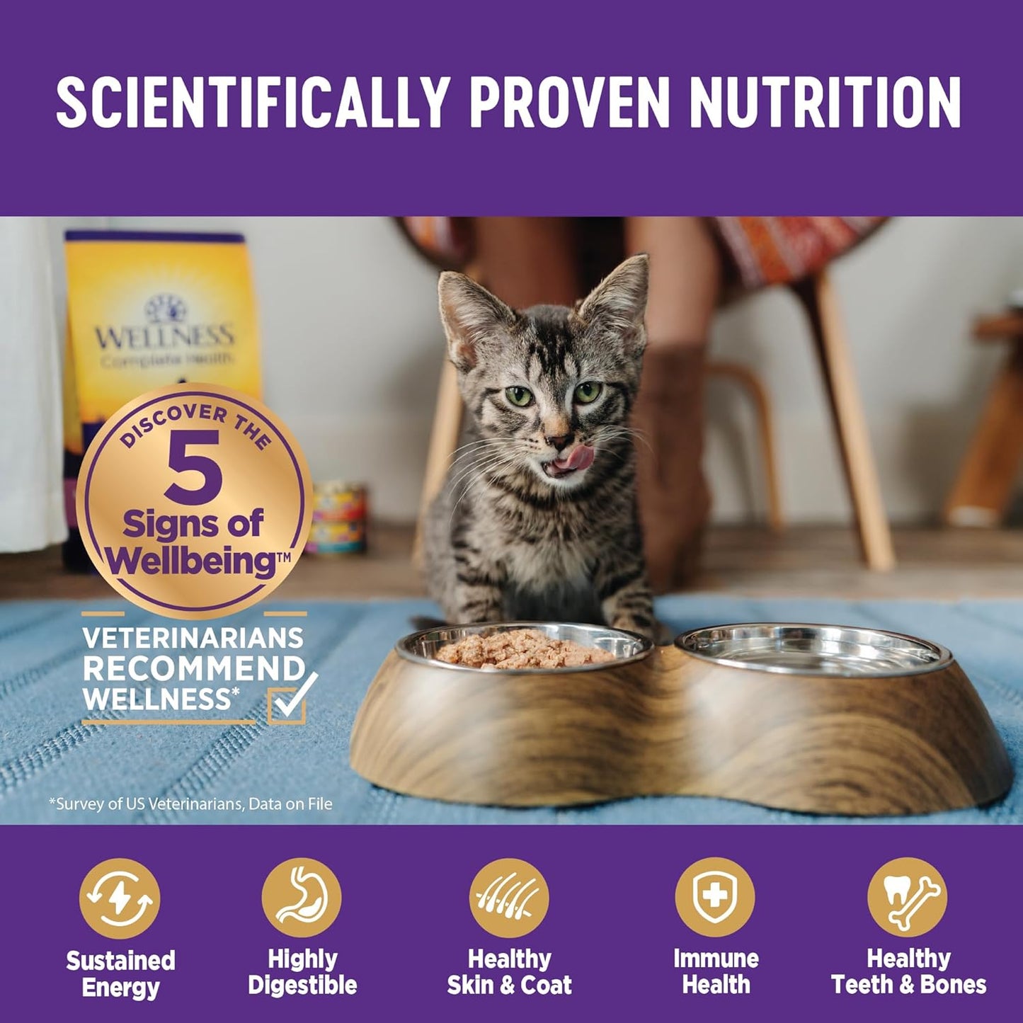 Wellness Complete Health Pate Adult Wet Cat Food, Natural, Protein-Rich, Grain Free, 5.5 Ounce, 24 Pack, (Beef & Chicken)
