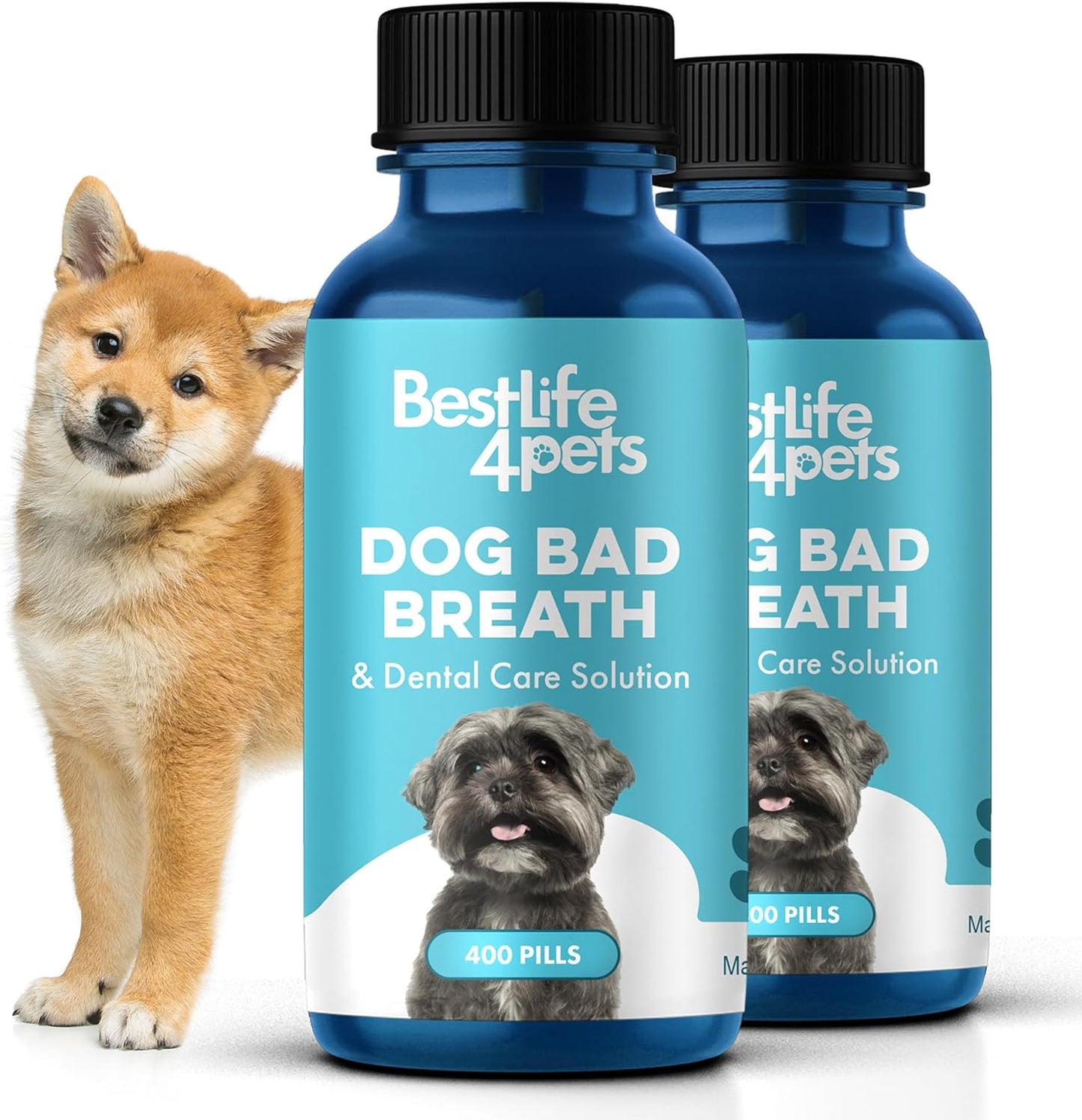 Dog Dental Care & Bad Breath Remedy, Natural Dog Oral Care for Healthy Teeth, Mouth & Gums, Daily Canine Breath Freshener, Plaque, Tartar Control Helps Reduce Gingivitis, Easy to Use 800 Tiny Pills
