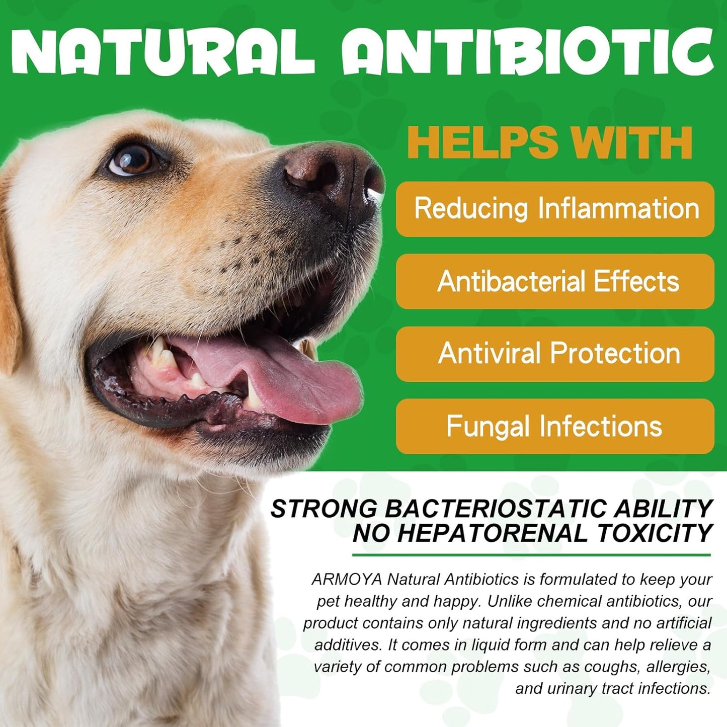 Natural Antibiotics for Dogs - Dog Antibiotics - Antibiotics for Dogs - Pet Antibiotics - Natural Antibiotics for Dogs - Organic Ingredients - Dog Multivitamin 60ml