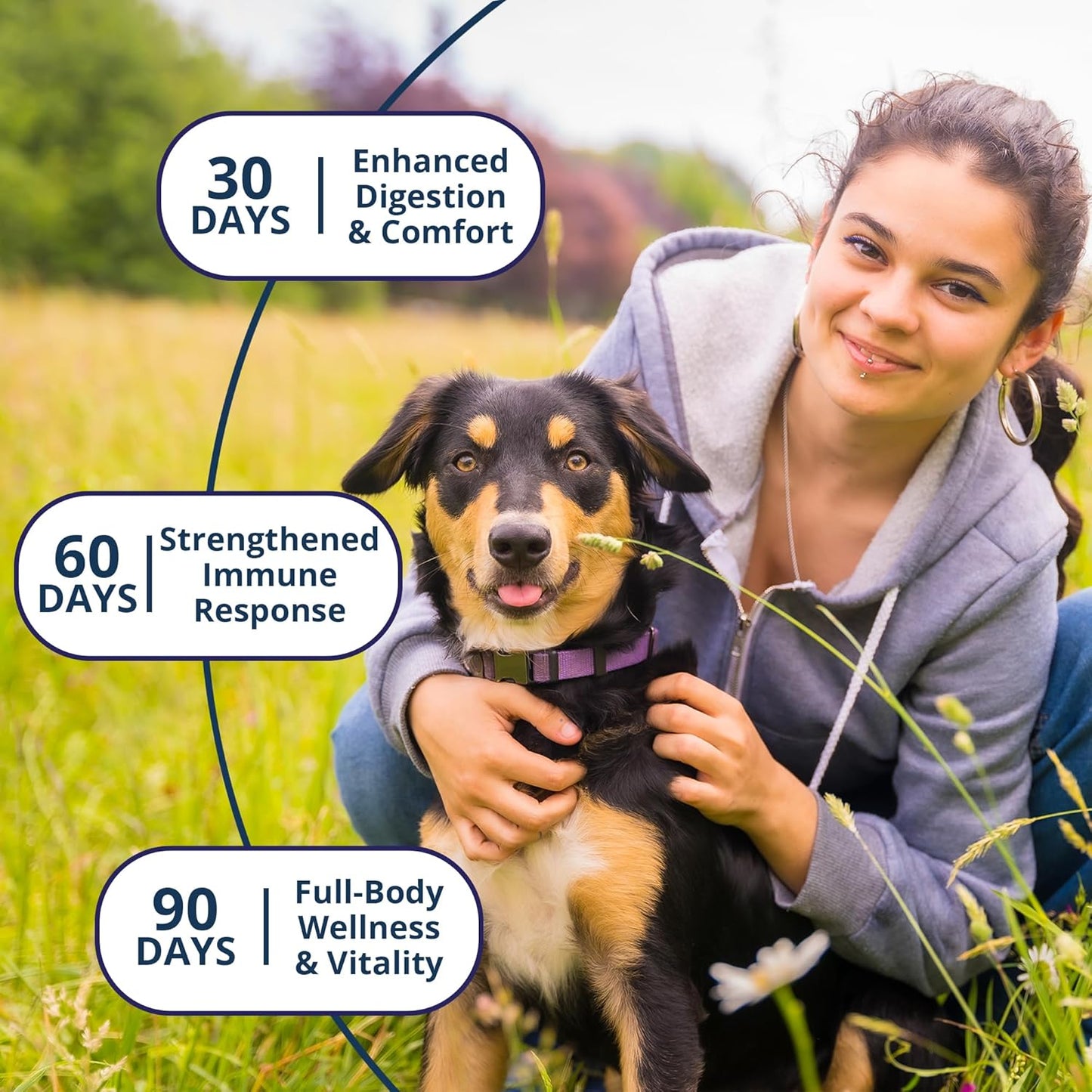 NOVEHA Probiotic Chews for Dogs | Gut Health & Digestive Support | Healthy Skin & Coat | Dog Probiotics for Yeast - Itchy Skin & Itchy Ears | for Dogs with Allergies | 90 Chews (1-Pack)