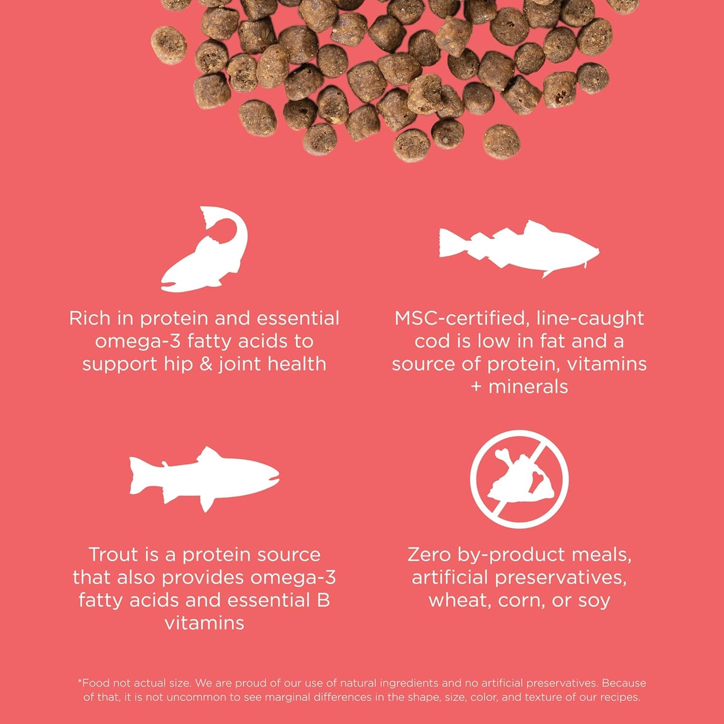 Go! Solutions Carnivore, Grain-Free, Protein Rich Dry Cat Food, Salmon and Cod Recipe, 3 lb Bag