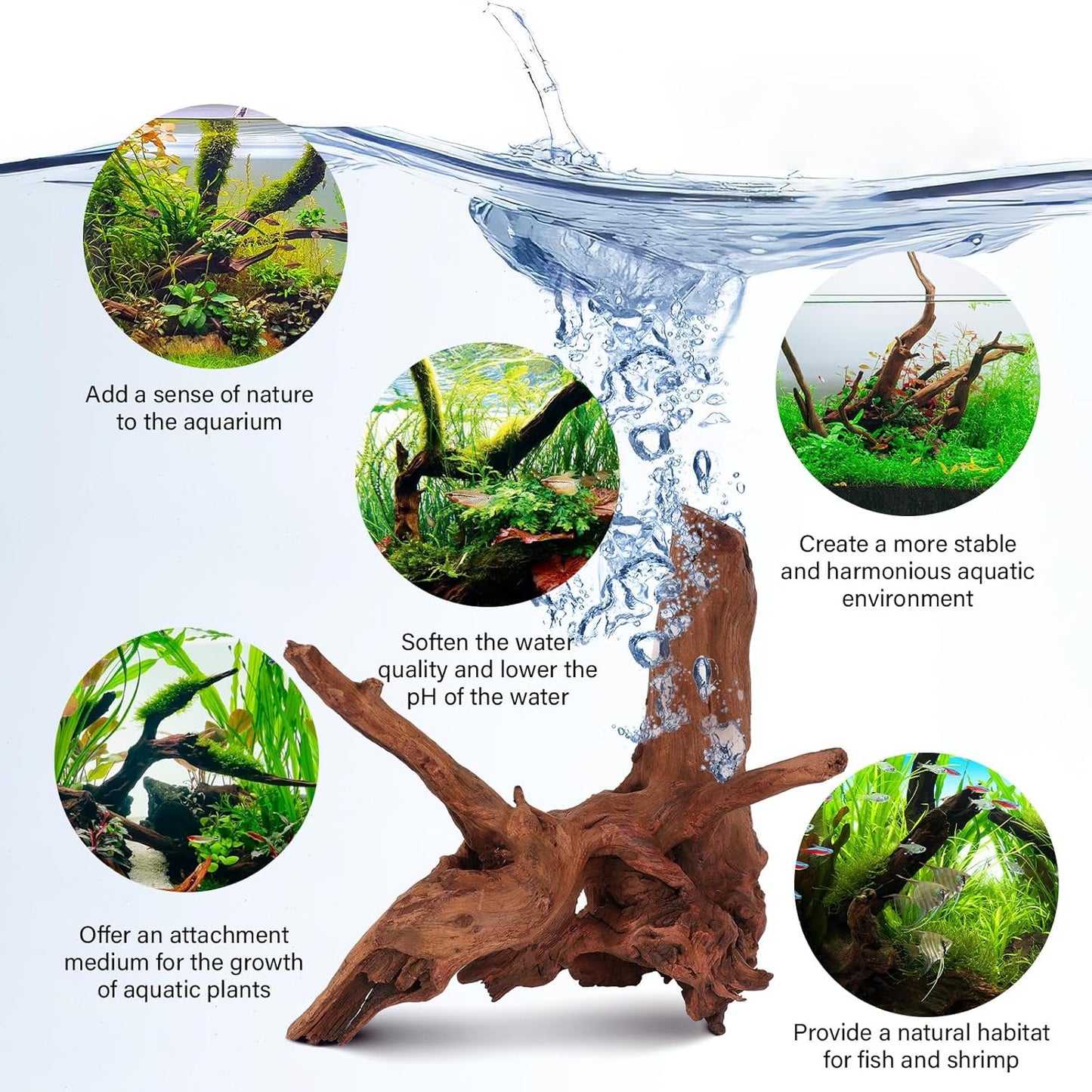 Driftwood for Aquarium Natural Aquarium Wood for Aquascaping Fish Tank Decorations Reptile Tank Decor (Natural Driftwood 12-16" 1 Pack+Protein Cotton)