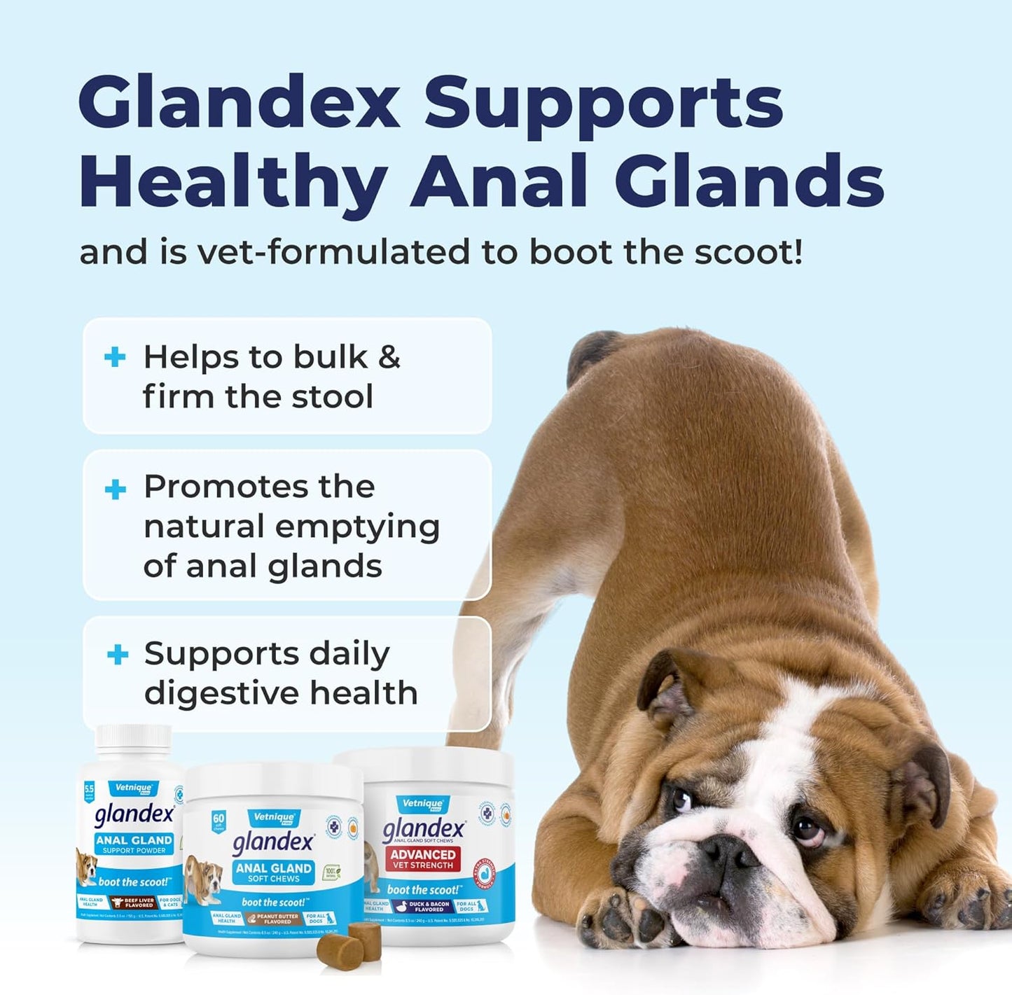 Vetnique Labs Glandex Dog Fiber Supplement Powder for Anal Glands with Pumpkin, Digestive Enzymes & Dog Probiotics for Digestive Health - Vet Recommended - Boot The Scoot (Beef Liver, 4.0oz Powder)