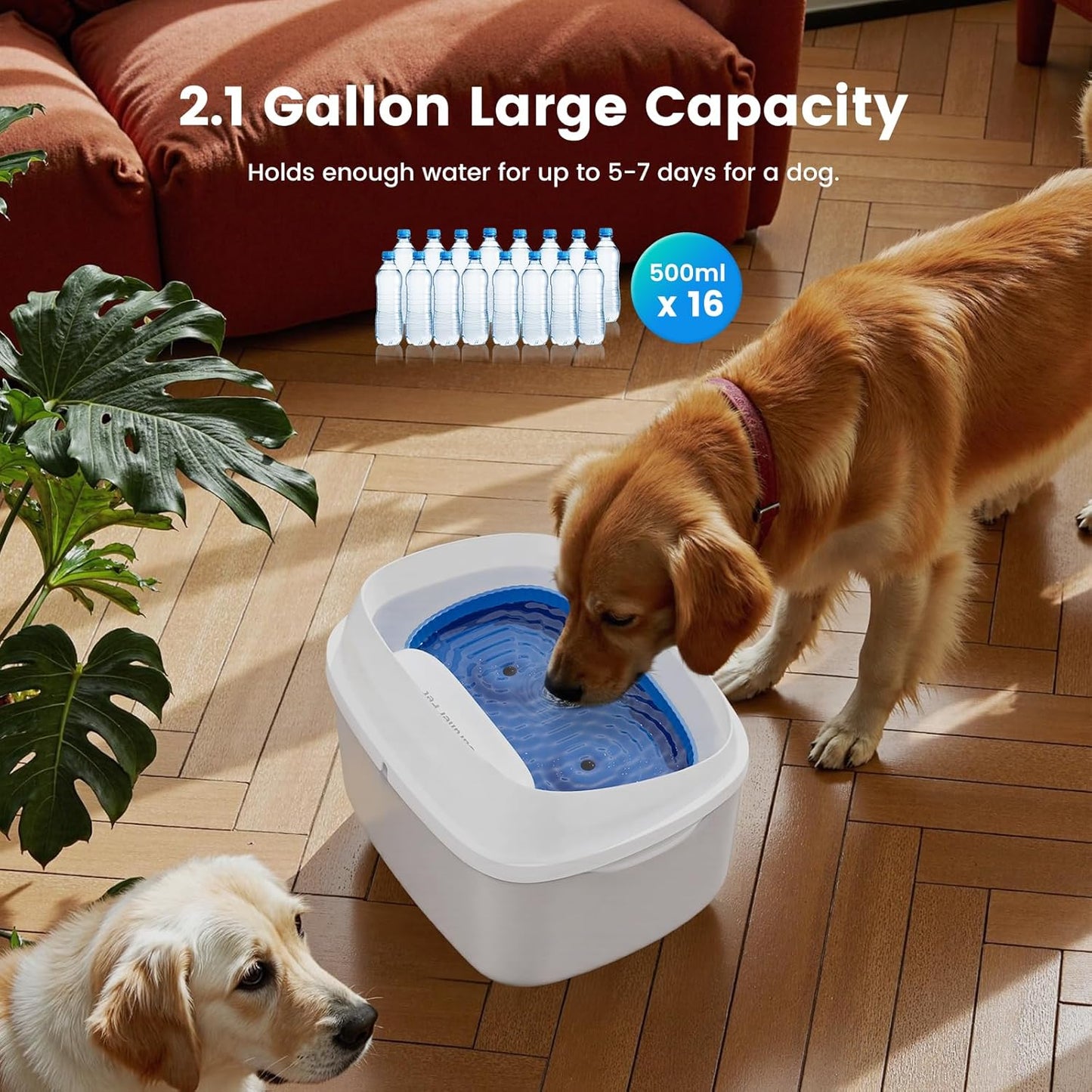 Gardner Pet Dog Water Fountain for Large Dogs, 8L/2.1Gal Large Capacity Automatic Dog Water Bowl Dispenser with Vortex Circulation, Maifan Stone Filter, Splash-Proof, Quiet Cat & Dog Water Bowl