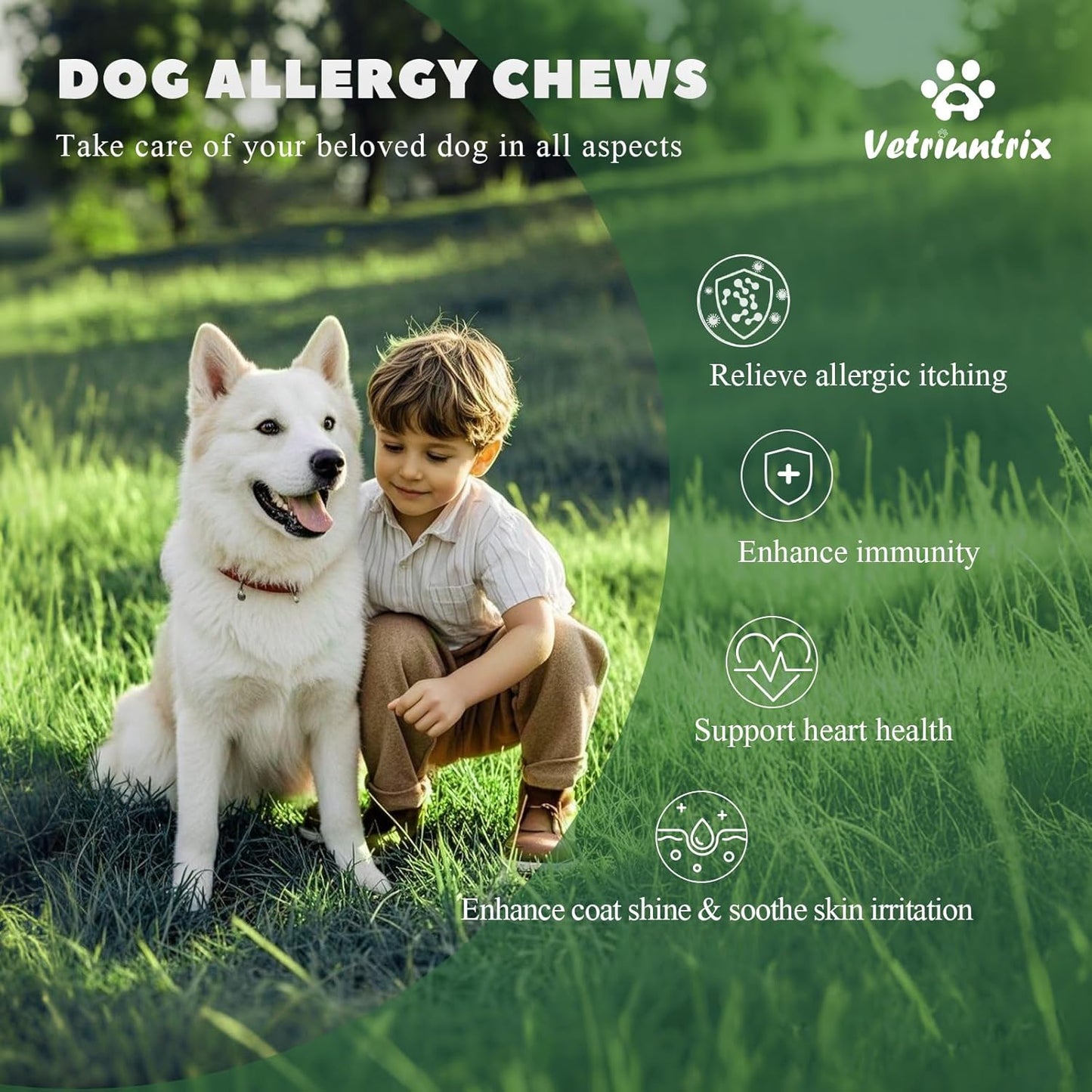Dog Allergy Chews, 400PCS Dog Itching Skin Relief with Probiotics Omega 3, Allergy Relief for Dogs Itching Licking Paws, Support Seasonal Allergy, Gut & Digestive Health and Immune System