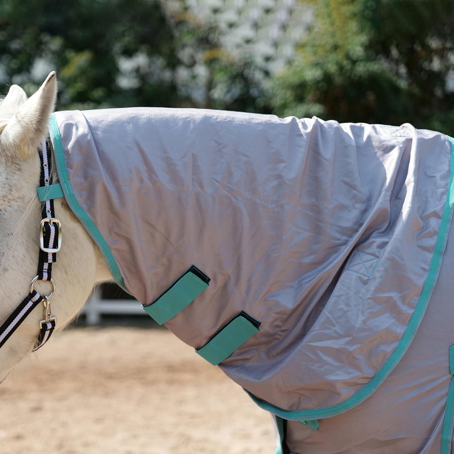 Horse Fly Sheet with Detachable Neck Cover & Belly Wrap, Adjustable Fly Sheet for Horses, Ventilated Airflow Mesh Equine Cooling Summer Flysheet Grey 72