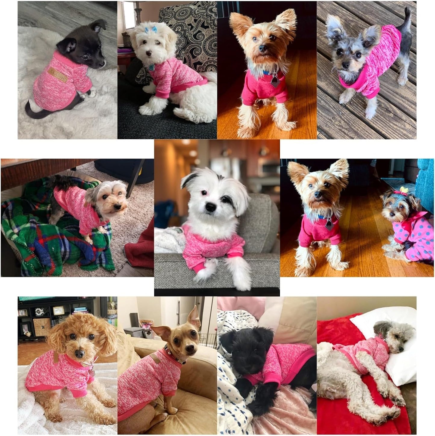 Jecikelon Dog Clothes Dogs Sweater Soft Puppies Clothing Winter Puppy Sweaters Warm Outfit for Dogs Small XXS XS Cat Apparel (Large, Rose red)