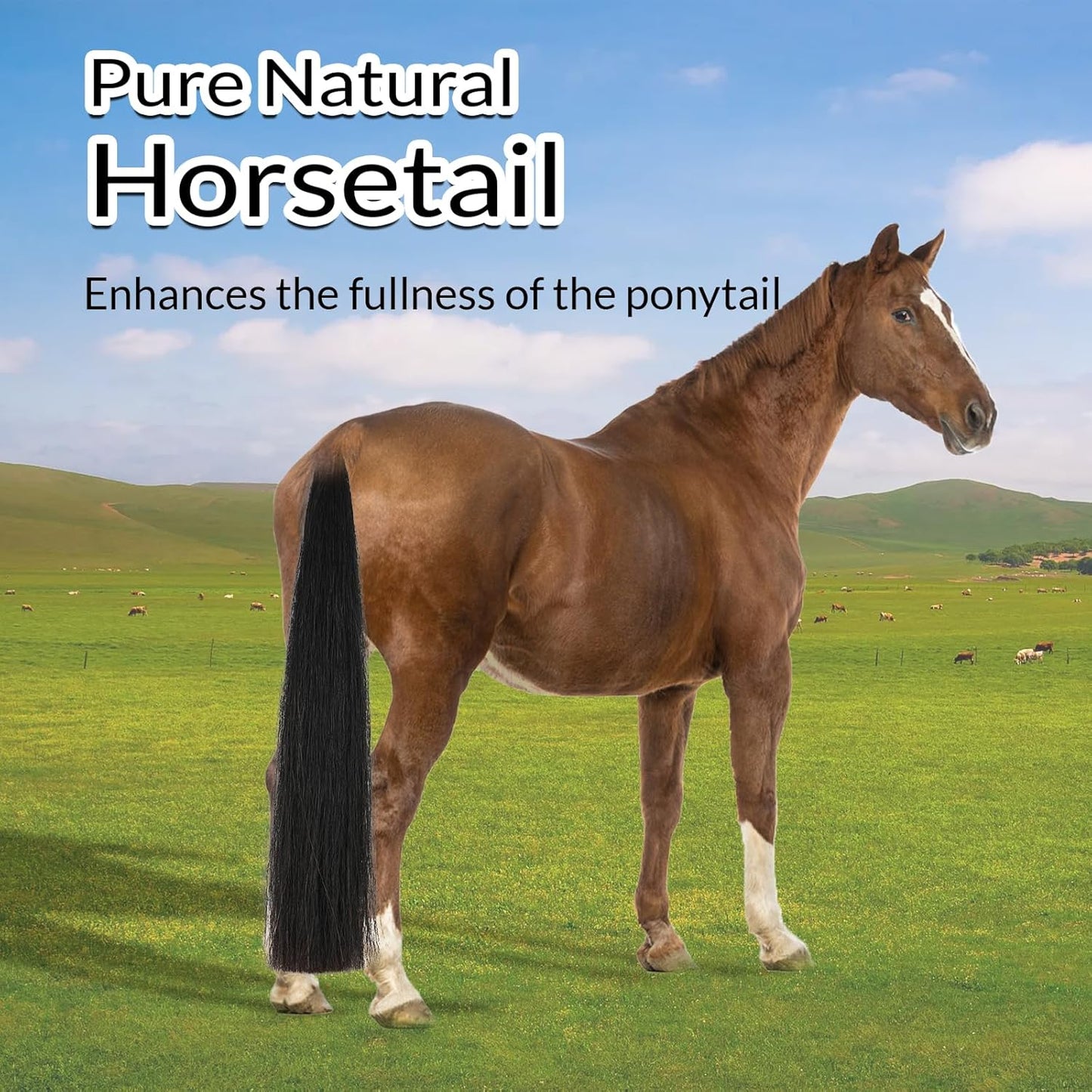 Horse Tail Extension with Braided Horsehair Loop, Blunt Cut Bottom, 3/8 lb, 28-30 inches (Natural Black)