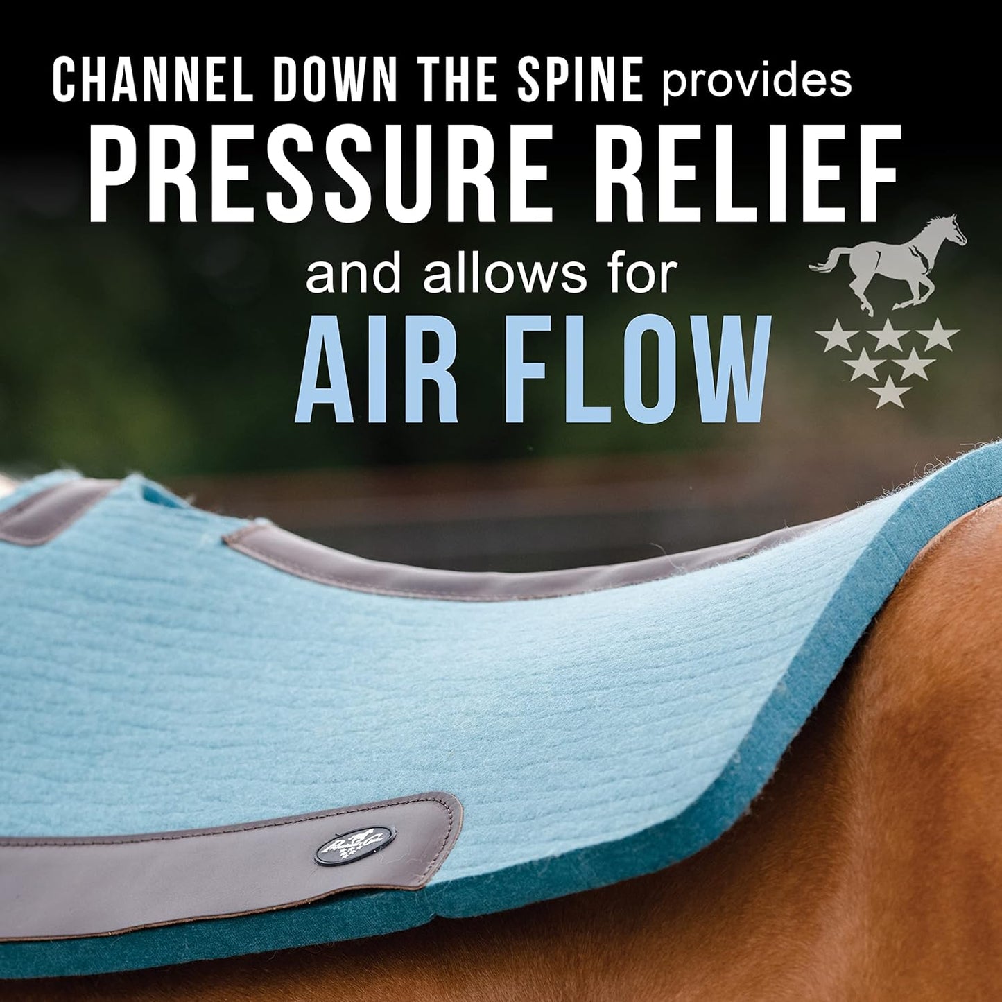 Professional's Choice 100% Steam-Pressed Wool Felt Saddle pad