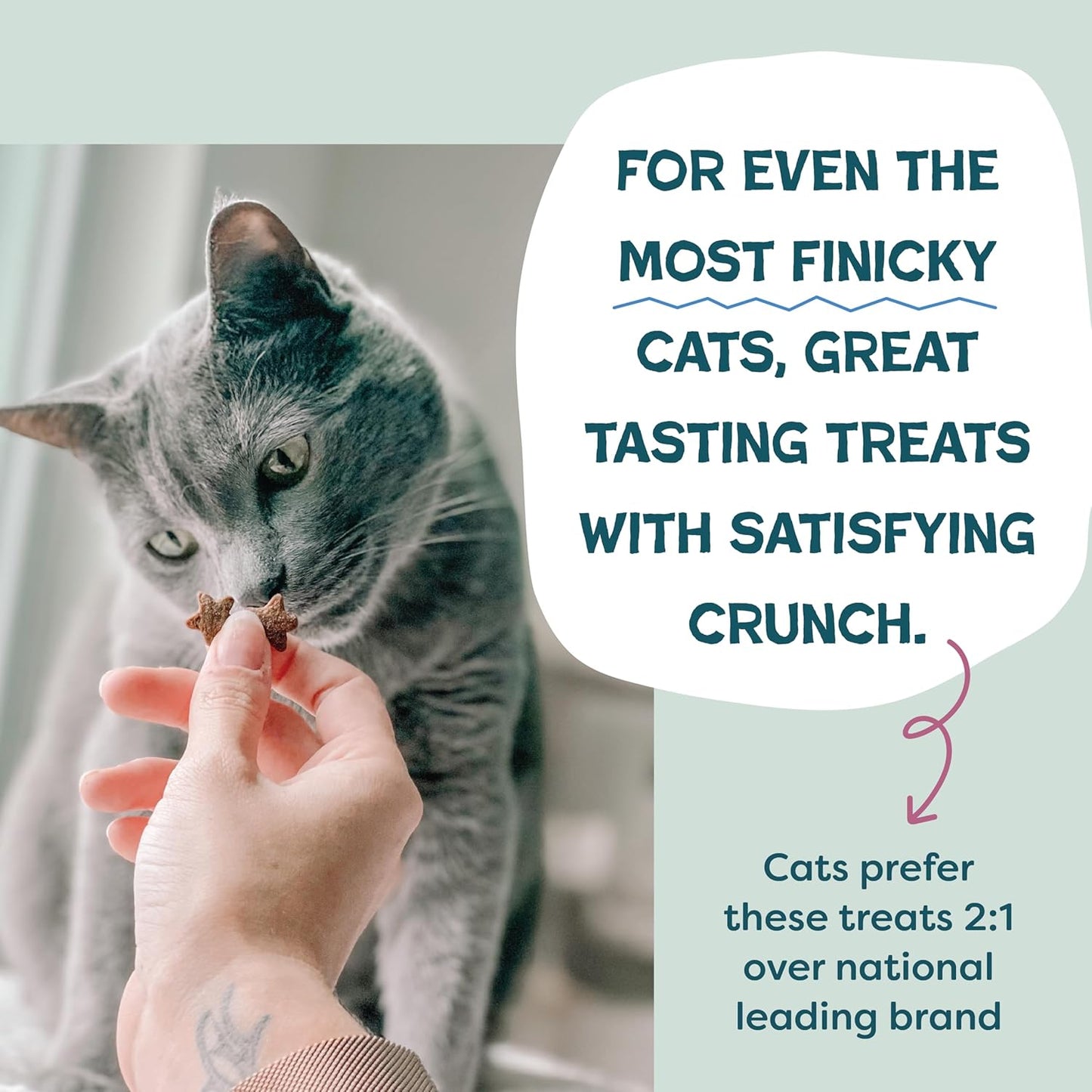Shameless Pets Crunchy Cat Treats - Kitty Treats for Cats with Digestive Support, Natural Kitten Treats with Real Chicken, Healthy Flavored Feline Snacks - Cran You Say Chicken, 3-Pk