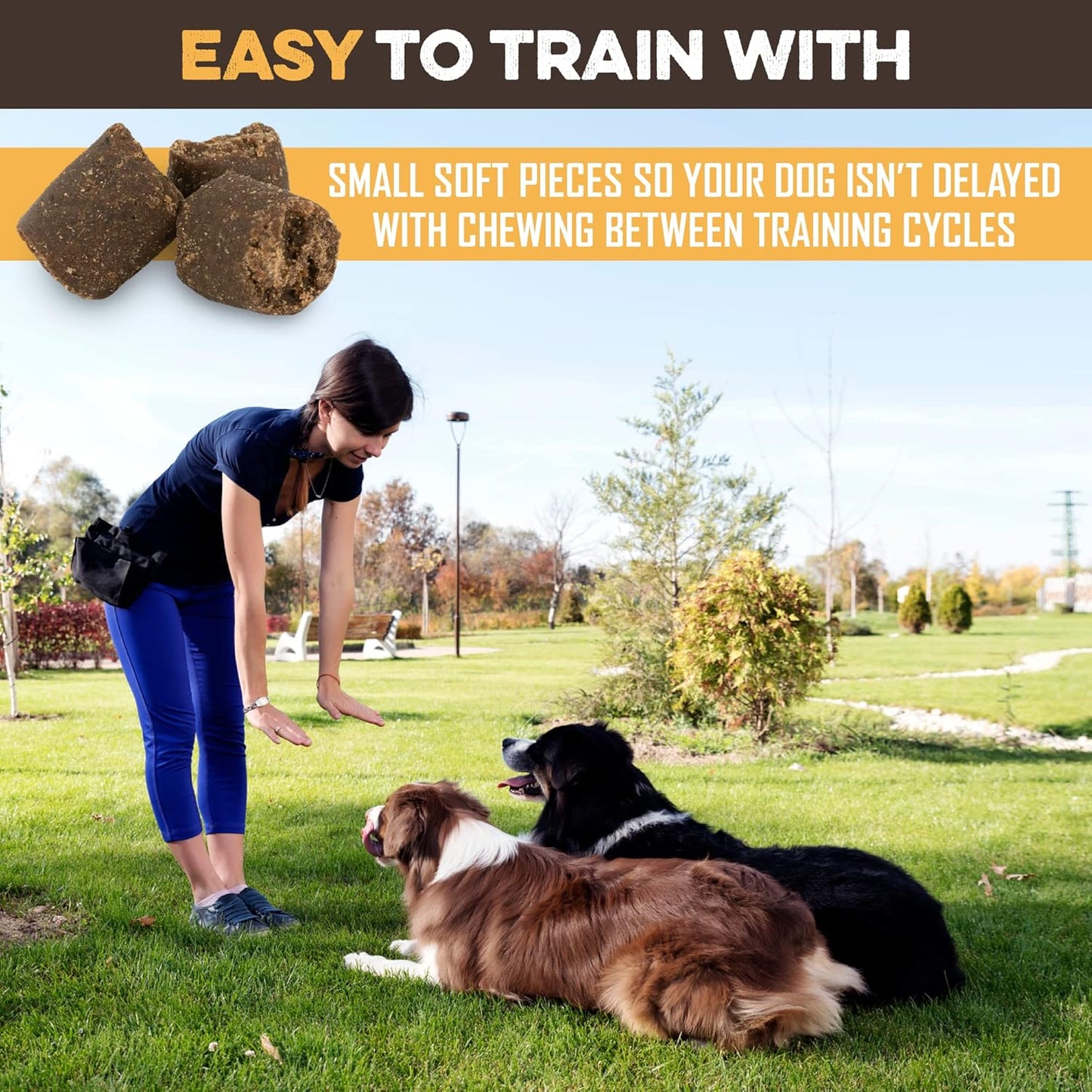 BRUTUS & BARNABY Training Treats for Dogs - Peanut Butter & Honey - All-Natural Healthy Low Calorie Vegetarian Treat - Great to Use for Rewards in Training Your Puppy Or Dog