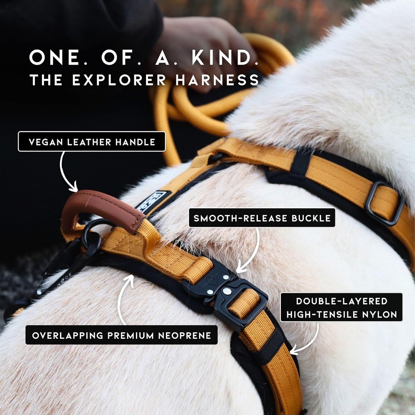 MADE TO ROAM Premium Explorer Harness - Y-Shaped Dog Harness with Adjustable Durable Nylon, Soft Padding, Metal Buckles and Leather Handle for Small, Medium, Large Dogs (Colorado Nightsky, Size 5)