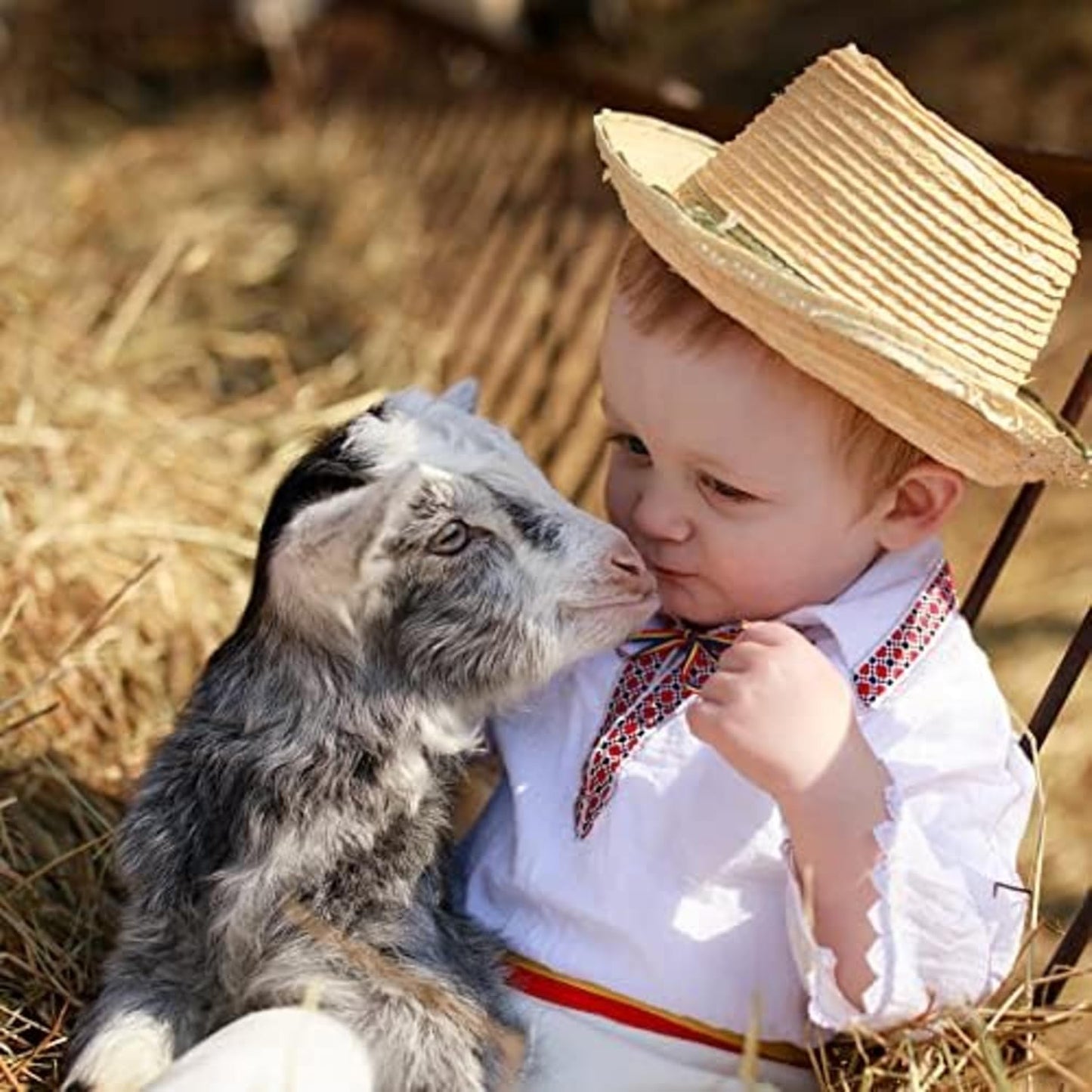 Blue Mountain Hay | Fresh Orchard Grass Hay (24 Ounce) | High Fiber, Soft & Leafy | High-Altitude Hay Pet Food for Rabbits, Guinea Pigs, Chinchillas, Hamsters, and Other Small Pets