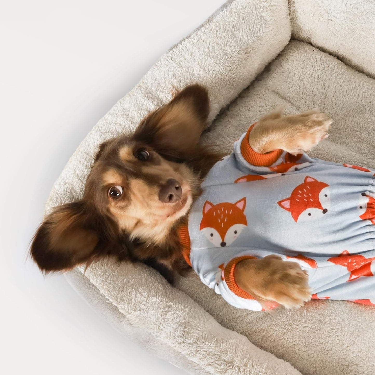 Fitwarm Funny Fox Dog Pajamas, Warm Dog Onesie, Dog Clothes for Small Dogs Girl Boy, Lightweight Velvet, Pet Outfit, Gray, Orange, Large