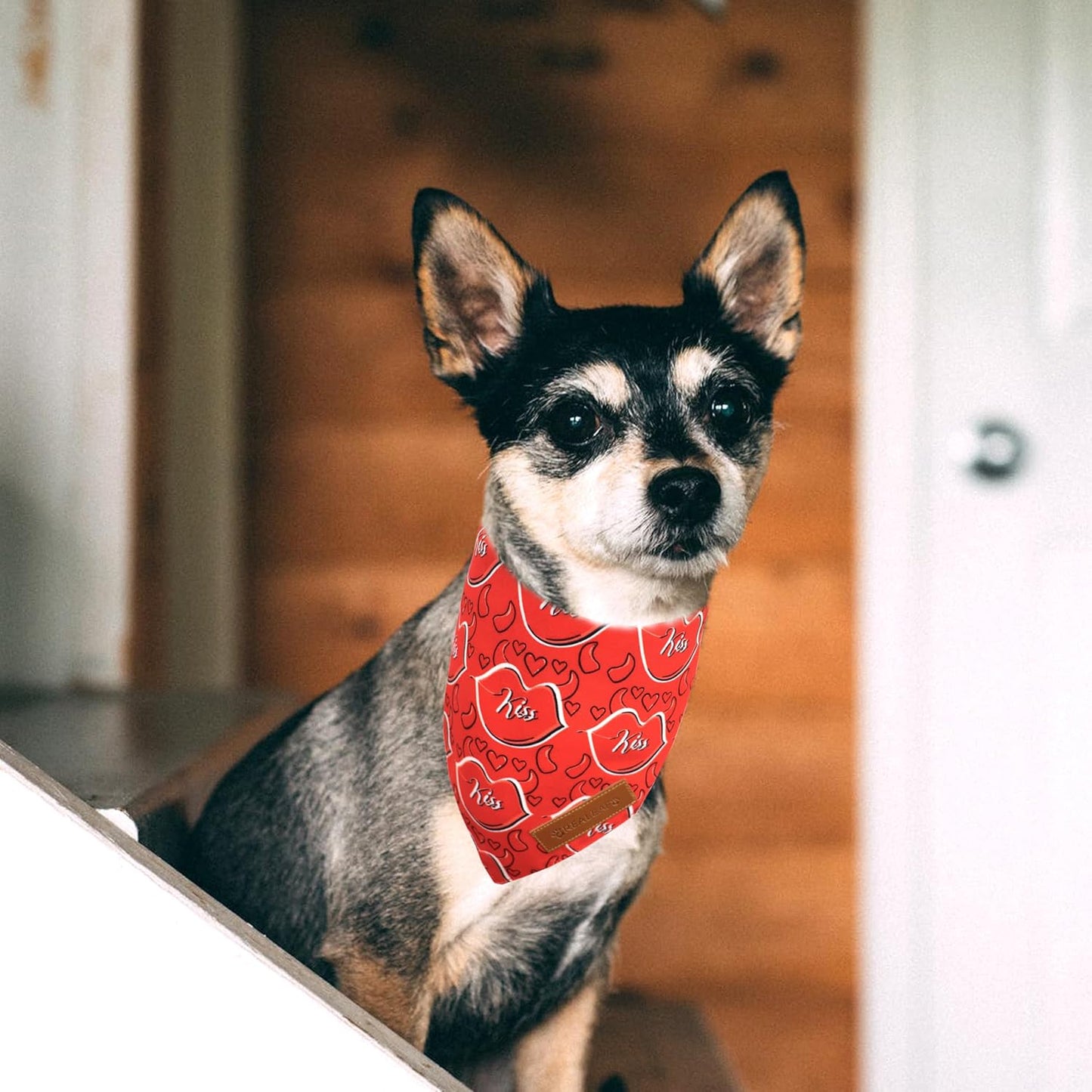 Realeaf Valentine's Day Dog Bandanas 2 Pack, Reversible Heart Dog Scarf for Boy and Girl, Premium Durable Fabric, Holiday Love Bandana for Medium and Large Dogs Pets (Large)