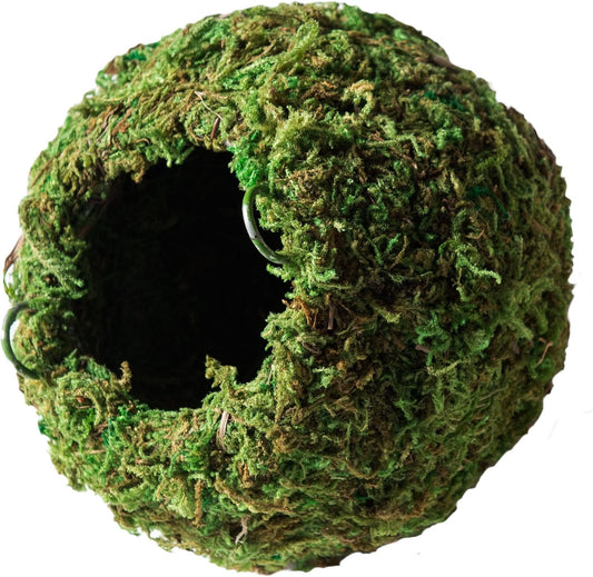 Galápagos (05348) Mossy Cave Hide, 6", Green Sphagnum (Pack of 6)