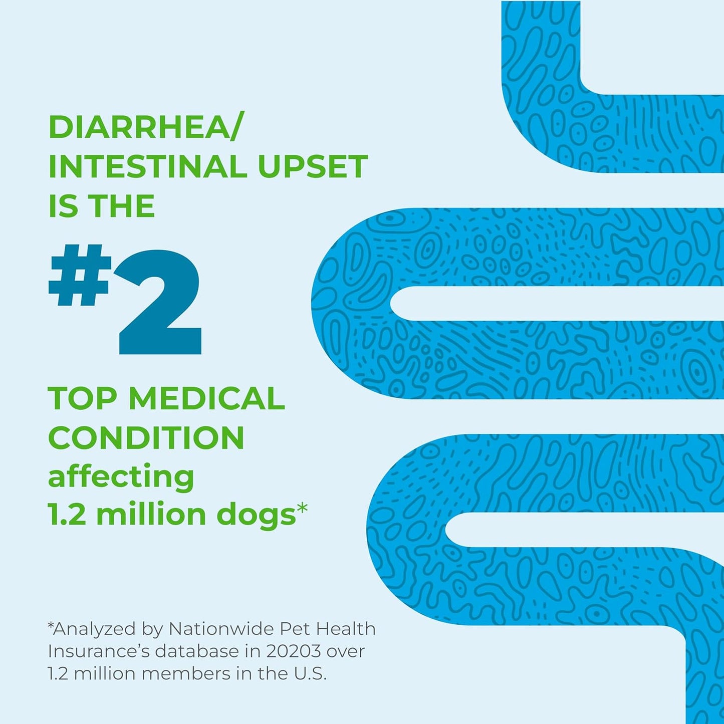 Vetnique Glandex Daily Probiotics for Dogs with Prebiotics to Support Gut Health with Fiber and Digestive Enzymes, Probiotic Chews or Powders (60ct Chews, Bacon Chews)