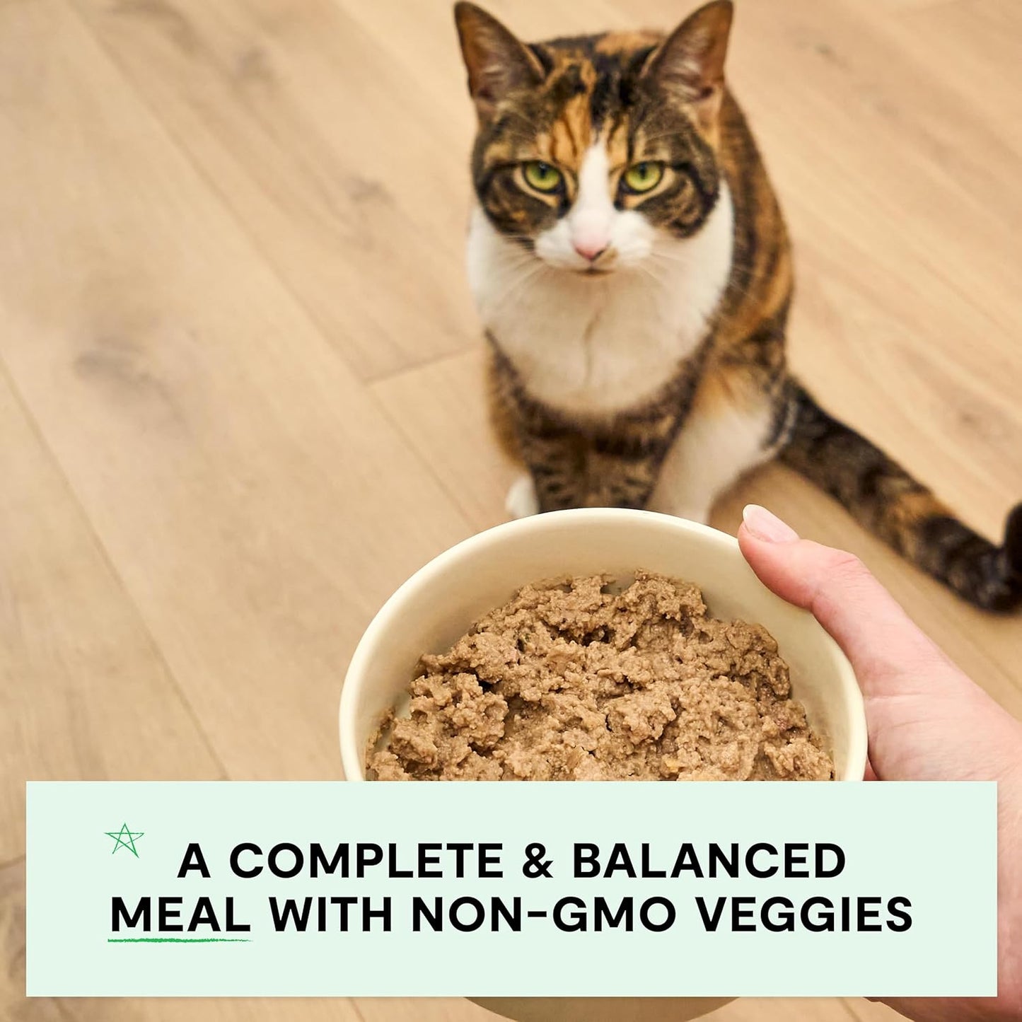 Open Farm Canned Cat Food, Paté for Complete & Balanced Nutrition, Grain-Free and Legume-Free Wet Cat Food, Homestead Turkey Recipe, 5.3oz Cans (Case of 12)