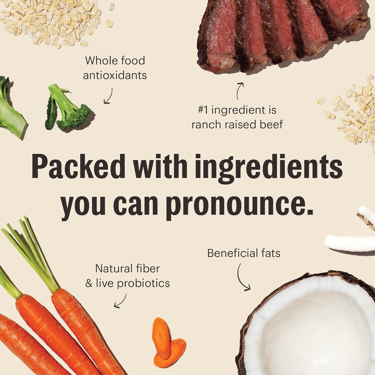 The Honest Kitchen Human Grade Whole Food Clusters Dry Dog Food - Whole Grain Beef & Oats, 20 Pound Bag