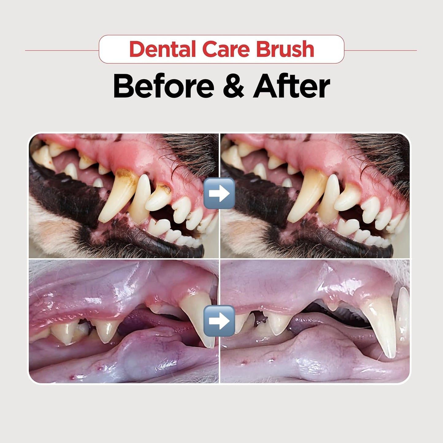 JAYU PET Dental Care Brush [Soft&Firm&Edge Bristles] - Toothbrush for Cat and Small Dogs, Removing Old Plaque and Tartar, Cat Dental Care, Cats Teeth Brushing & Easy Cleaning