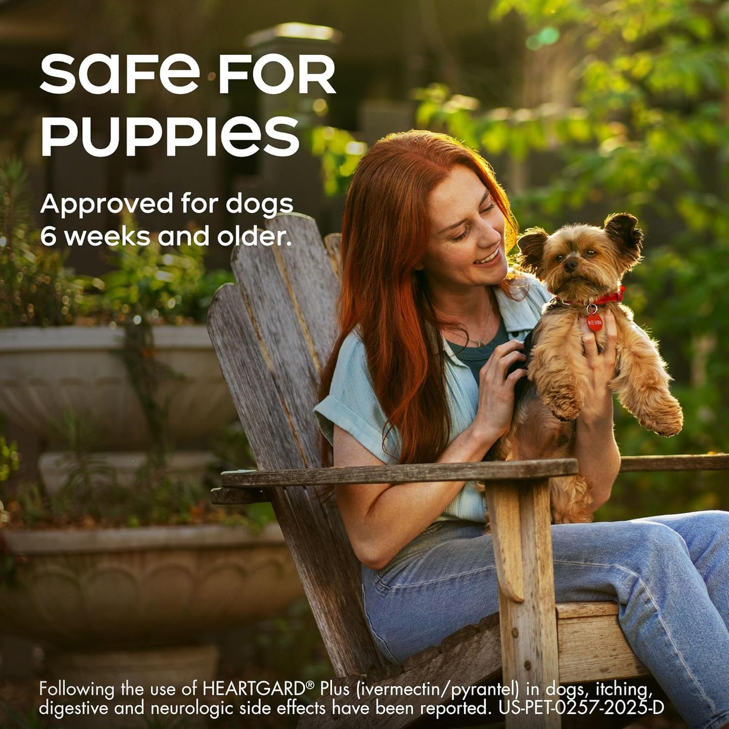 HEARTGARD® Plus (ivermectin/pyrantel) Real-Beef Chewables for Dogs 51 -100 lbs (Brown Box) 12 Month Supply of Chews (Heartworm Disease Preventive)