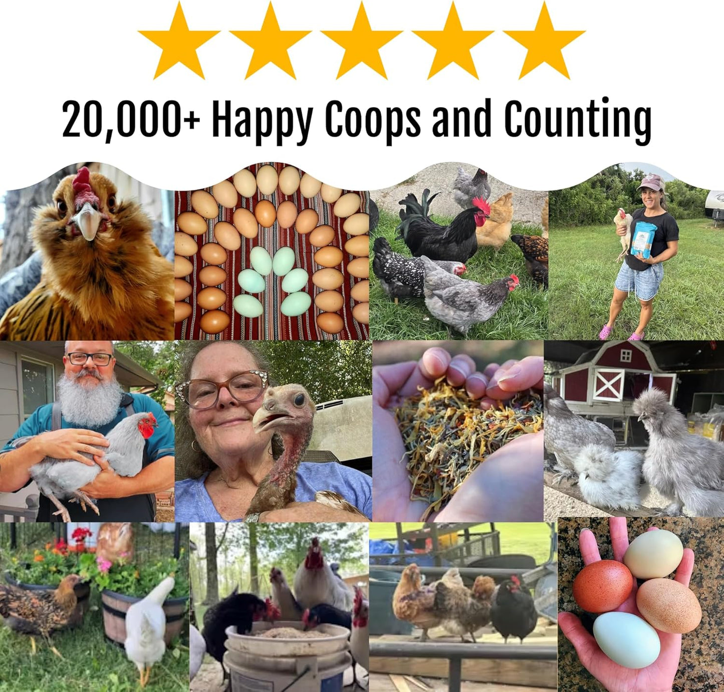 BuffClucks Herb Supplement for Backyard Chickens - Natural Chicken Treats, Poultry Feed Botanical Mix, Plant-Based Coop Snacks for Daily Wellness, Feather Quality, Egg Production, USA (20 LB)