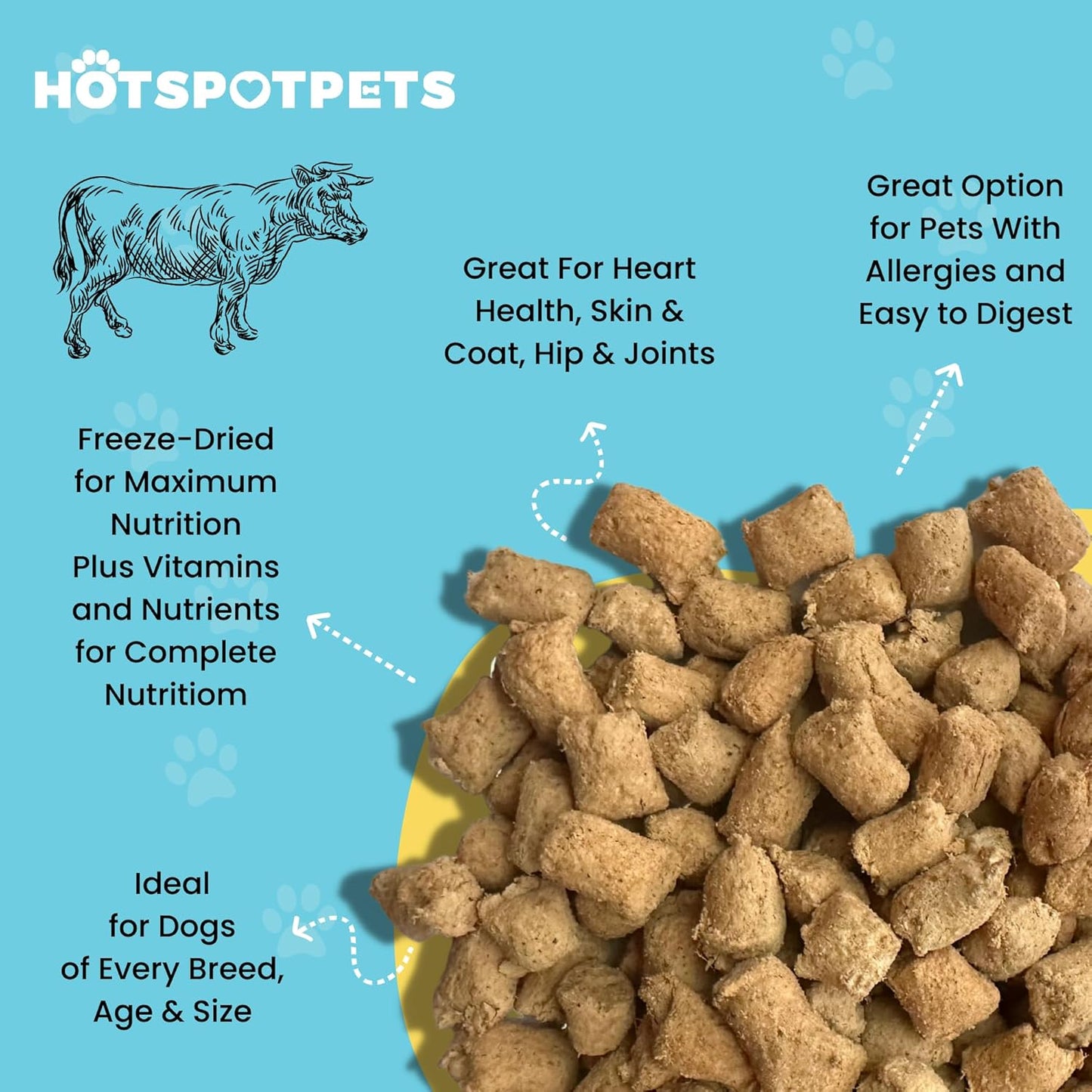 hotspot pets Freeze Dried Raw Beef Meal Toppers for Dogs 1LB Bag (500+pcs) Made in USA - Single Protein, All Natural, Grain-Free - Perfect for Training, Topper or Snack