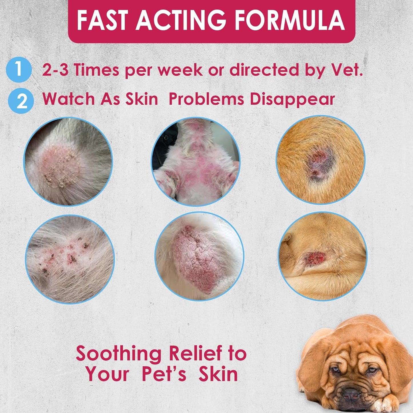 Truseb Topical Ketoconazole and Chlorhexidine Shampoo for Dogs, Cats & Horses with Aloe Vera and Conditioner(USA) (Ketoconazole & Chlorhexidine Shampoo, 16 oz)