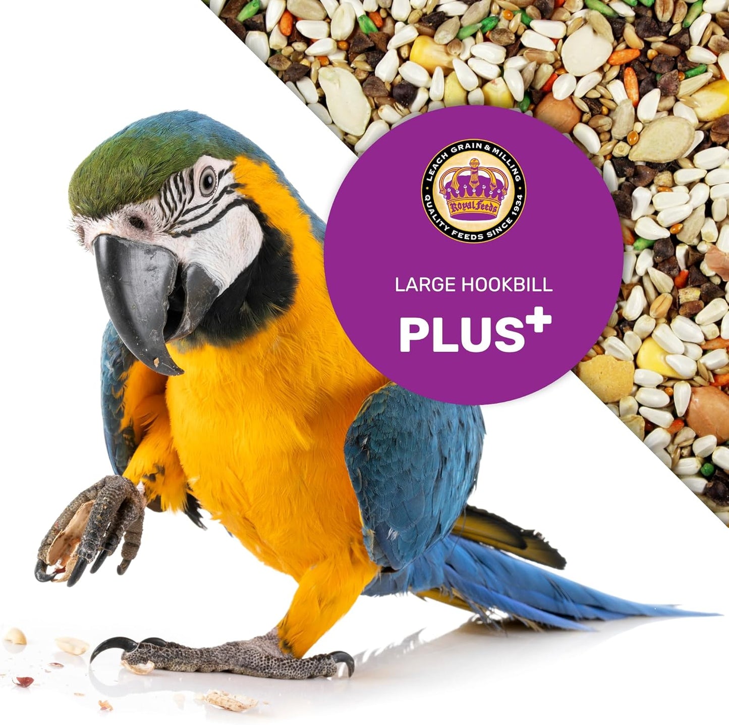Large Hookbill Plus 5 Lbs, Bird Food for Large Hookbill, Premium Bird Seeds, Supports Growth Energy and Digestive Health, Nutrient-Rich Parrot Birdseeds for Complete & Healthy Balanced Diet