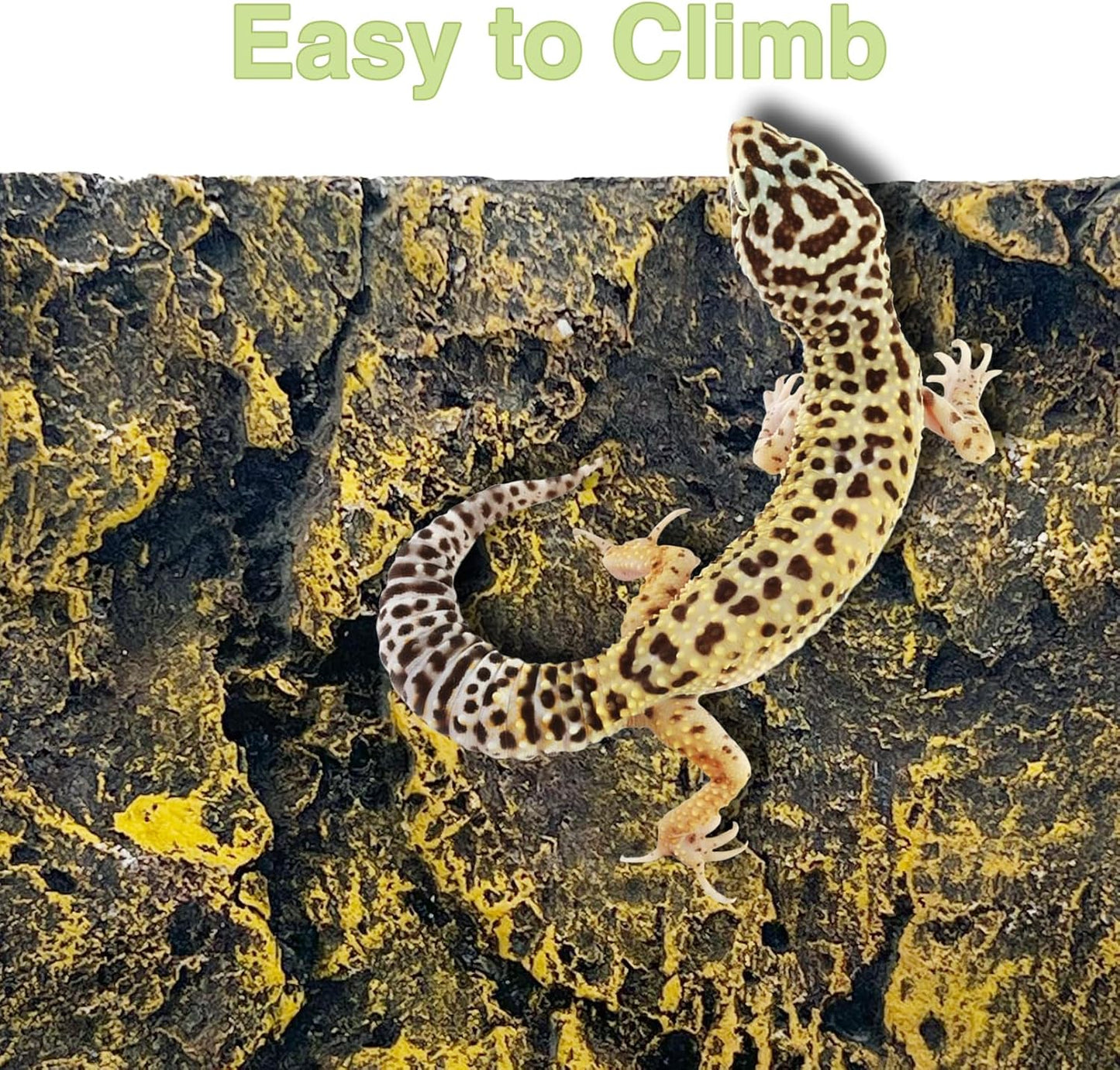 Hamiledyi Rock Terrarium Background Reptile Tank Backgrounds Snake Habitat Decoration Leopard Gecko 3D Wall Backdrop Aquarium DéCor Backgrounds for Lizards Bearded Dragons Tortoises Tree Frogs