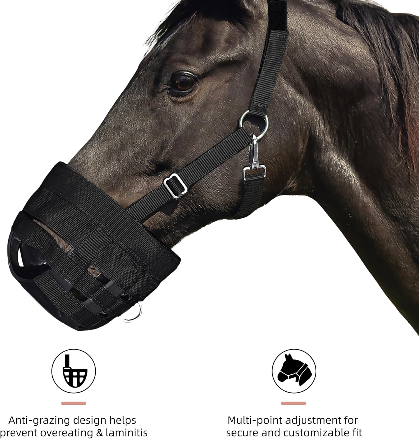 BARN & STABLE Horse Grazing Muzzle Halter for Easy Breathe, Comfortable Professional Horse Muzzle Grazing with Adjustable Straps, Velcro and Buckles, Suitable for Precaution of Laminitis