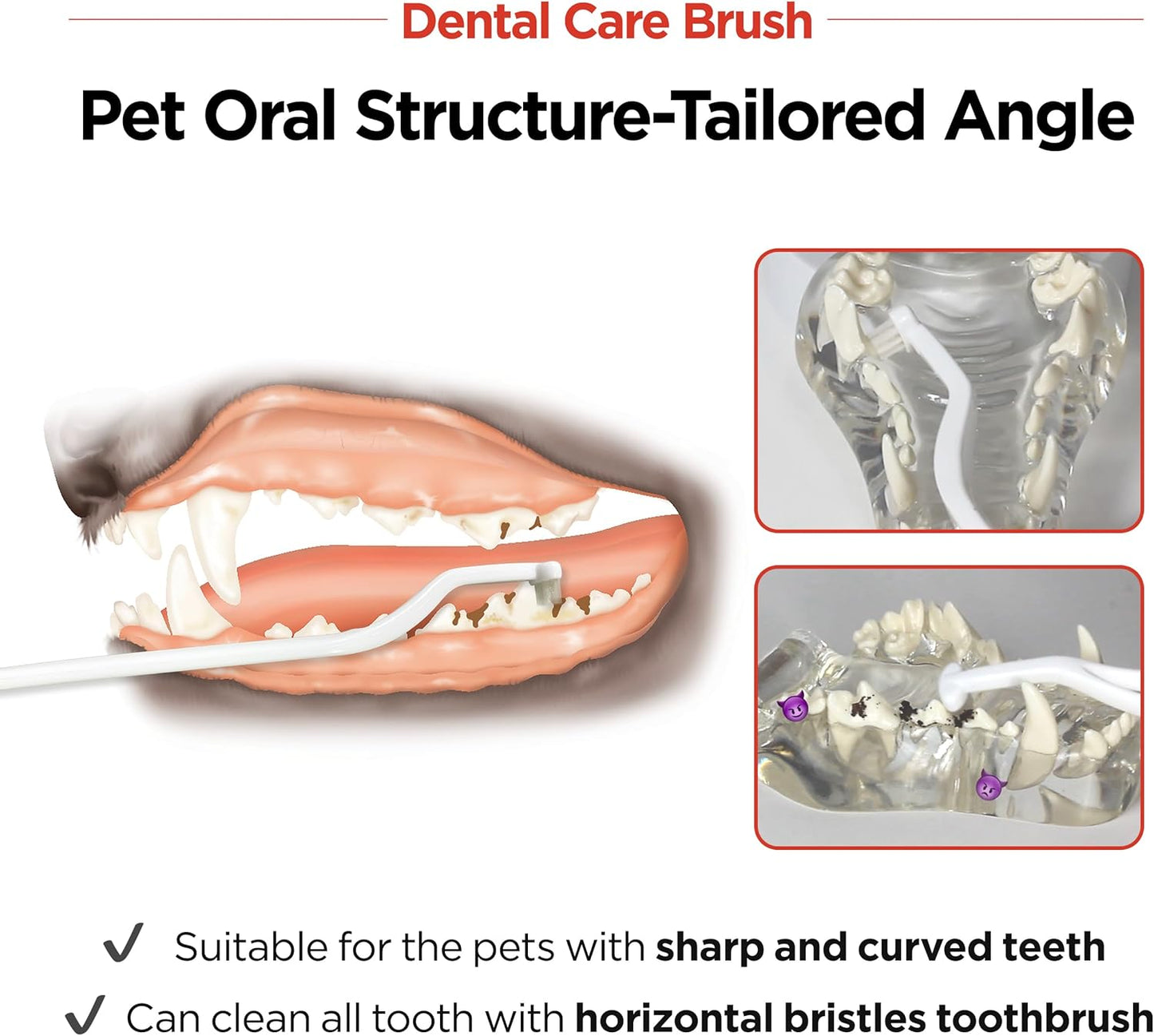 JAYU PET Dental Care Brush (Soft Bristles) 1ea - Dog Toothbrush, Cat Toothbrush, Dental Care for Kitten and Small Dogs, Removing Old Plaque and Tartar, Cat Teeth Brushing & Easy Cleaning