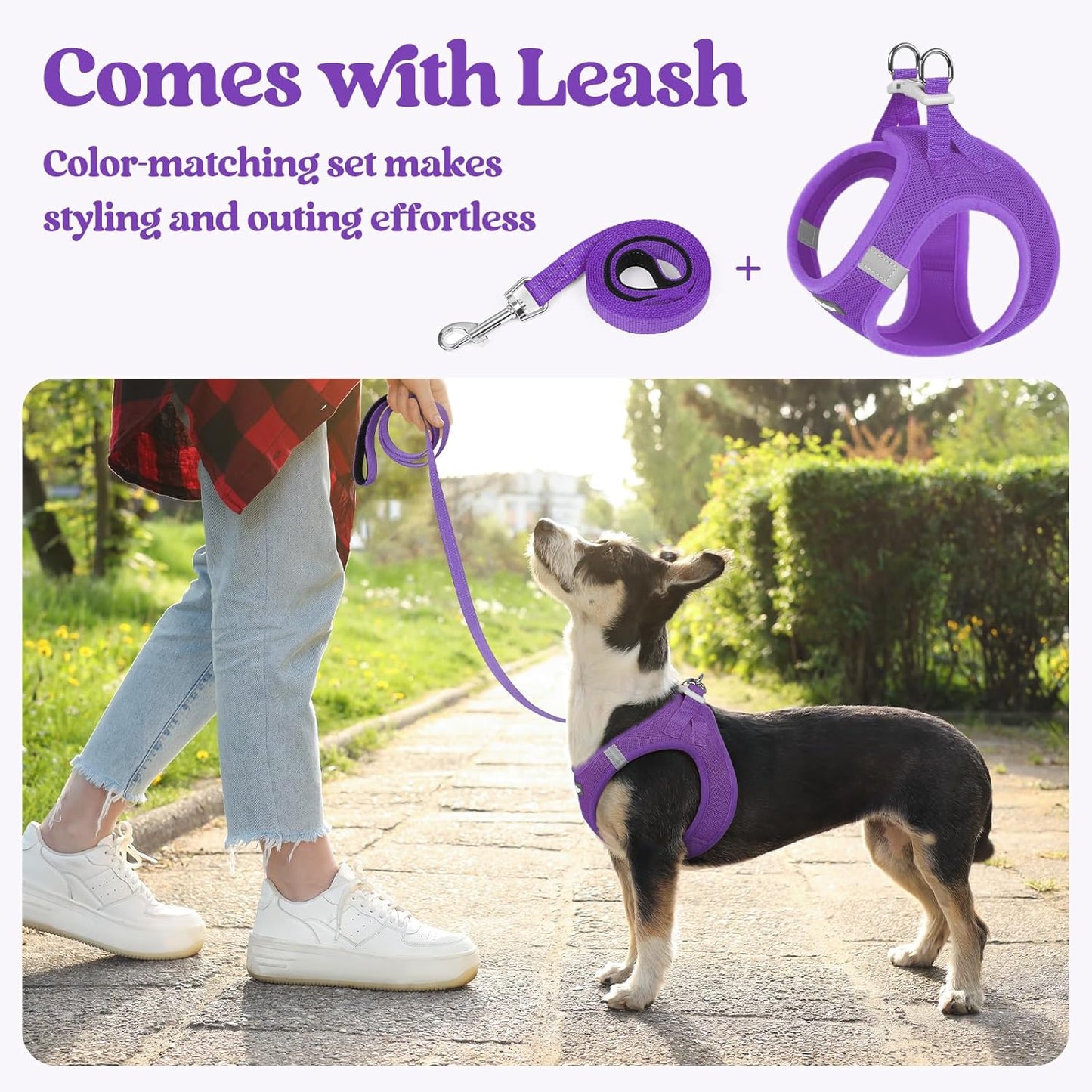 rabbitgoo Dog Harness Small Sized and Leash Set, Step in Soft Light Puppy Vest, Breathable Mesh Pet Harness, Reflective for Safe Outdoor Walking, Purple XS