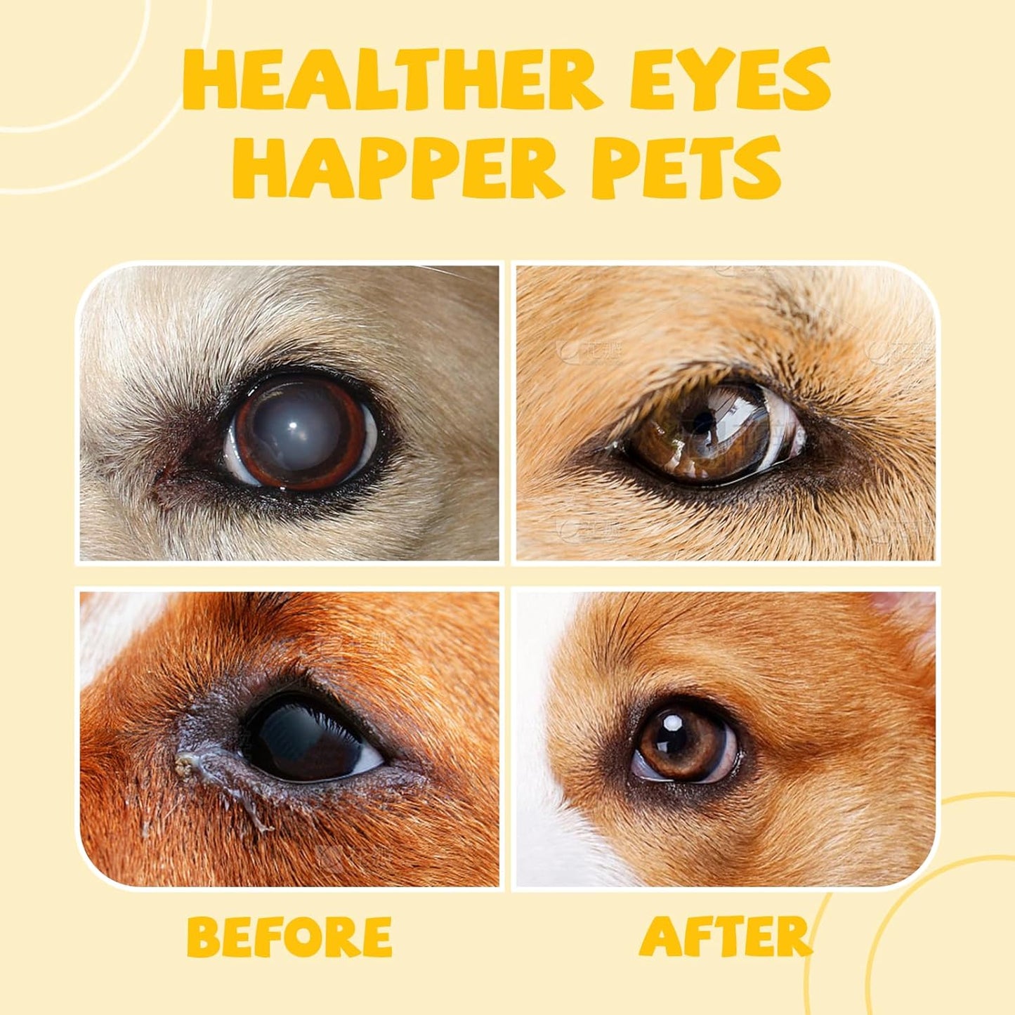 Dog Eye Drops, All Natural Cataract Drops For Dogs-Relieving Eye Itching Irritation & Dry, Dog Eye Infection Treatment & Removing Eye Stains Improving Clarity, Safe for All Animals (2 X 20 mL)