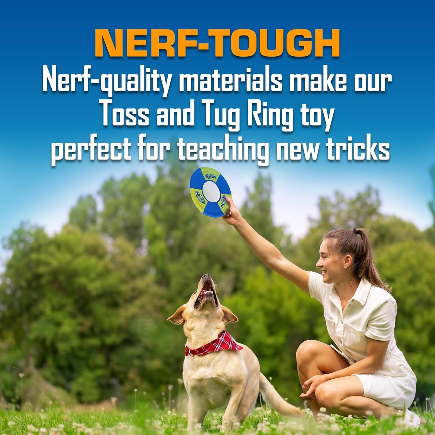 Nerf Dog Trackshot Toss and Tug Ring Outdoor Dog Toy 2 Pack, 9 Inch Dog Tug and Fetch Toy, for Medium and Large Breeds, Blue/Orange/Green