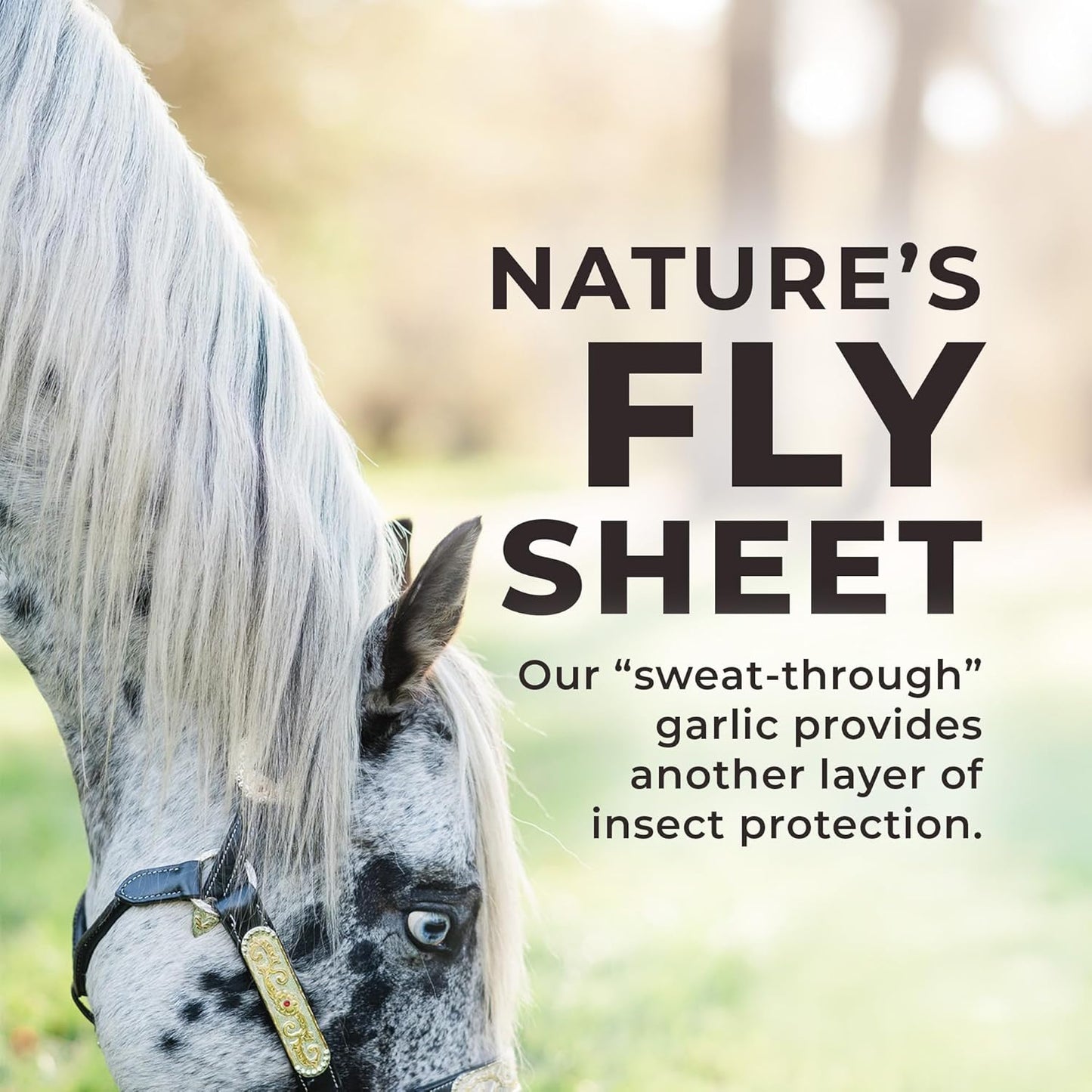 Daily Red Fortified w/Garlic - Horse Vitamin & Mineral Supplement 5 lb Pouch