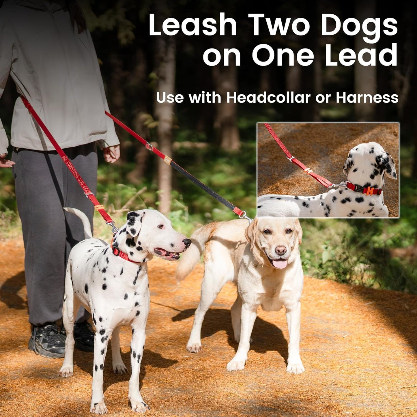 HOWGO 8-in-1 Multifunctional Hands Free Dog Training Leash with Padded Handle, 8.5 FT Nylon Adjustable Length, Lightweight Aviation Aluminum, Crossbody Waist Leash for Puppy Medium Large Dogs (Red)