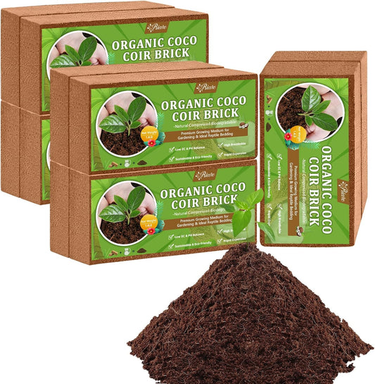 Riare 10pcs Organic Coco Coir Bricks Soil Blocks- 100% Natural Compressed Coco Peat Brick Coconut Fiber Substrate with Low EC& pH Balance, High Expansion Coco Coir Pith Coconut Husk for Garden