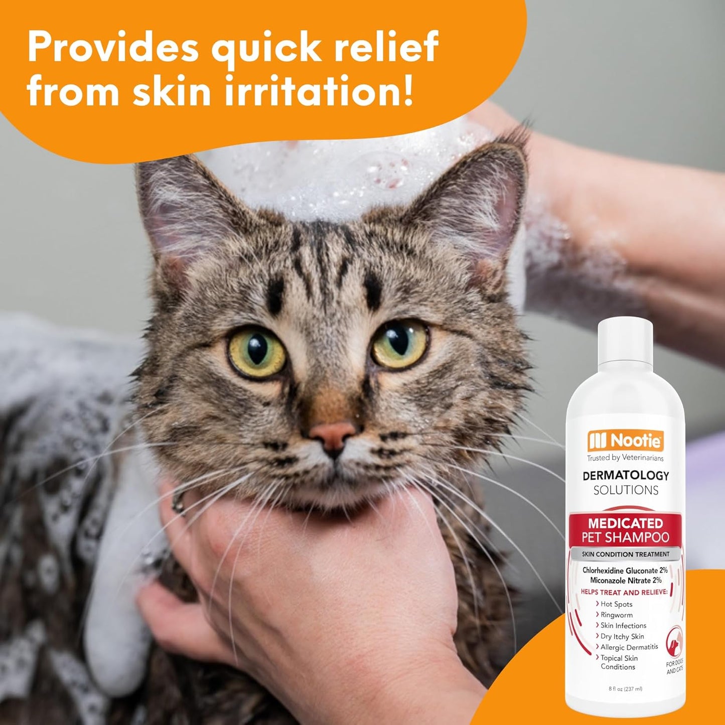 Nootie Medicated Pet Shampoo, Chlorhexidine Dog Shampoo for Itch Relief, Sold in Over 5,000 Vet Clinics & Pet Stores Worldwide- 8oz