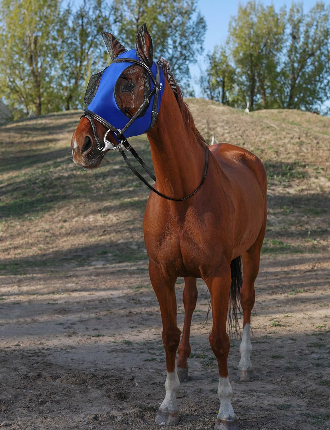 Horse Fly Mask with Ears, UV Protection Mask for Horses, Elasticity Mask with Big Mesh Eye Covers, Snug Fitting Comfortable Breathable Lightweight Royal Blue Cob