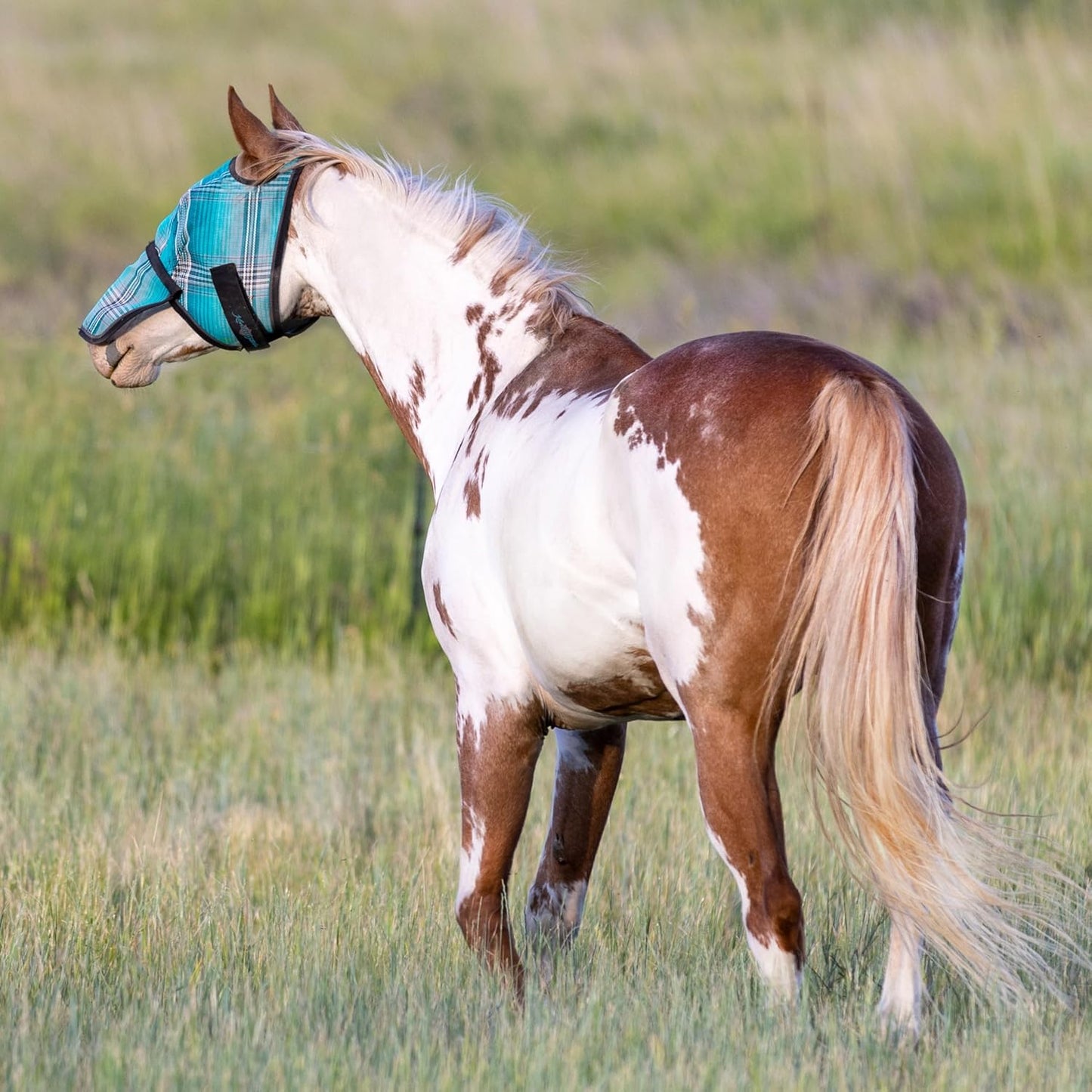Kensington Signature Fly Mask with Removable Nose — Protects Horses Face and Nose from Biting Insects and UV Rays While Allowing Full Visibility — Ears and Forelock Able to Come Through The Mask