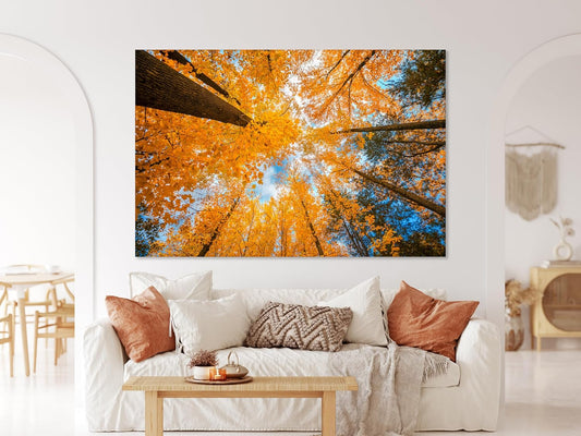 Nature Wall Art Prints - Ocean Forest Mountain Lake Canvas Landscapes - Small to Extra Large Living Room Bedroom Kitchen Bathroom Décor (Blue Sky Through Yellow Autumn Trees, 28L" x 41W")